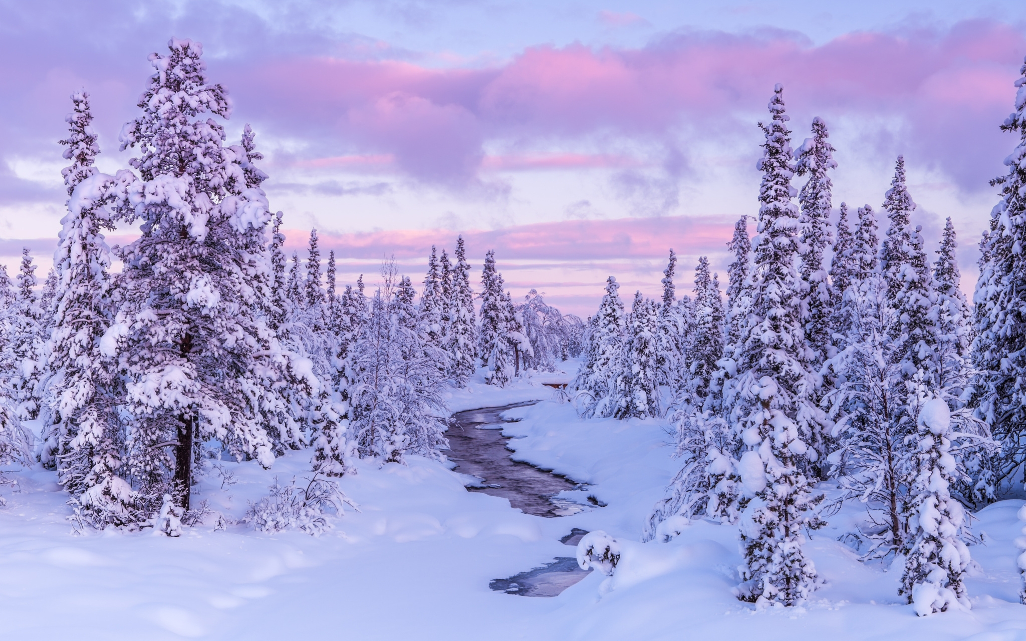 Скачать картинку Зима, Небо, Облака, Снег, Лес, Дерево, Земля/природа в телефон бесплатно.