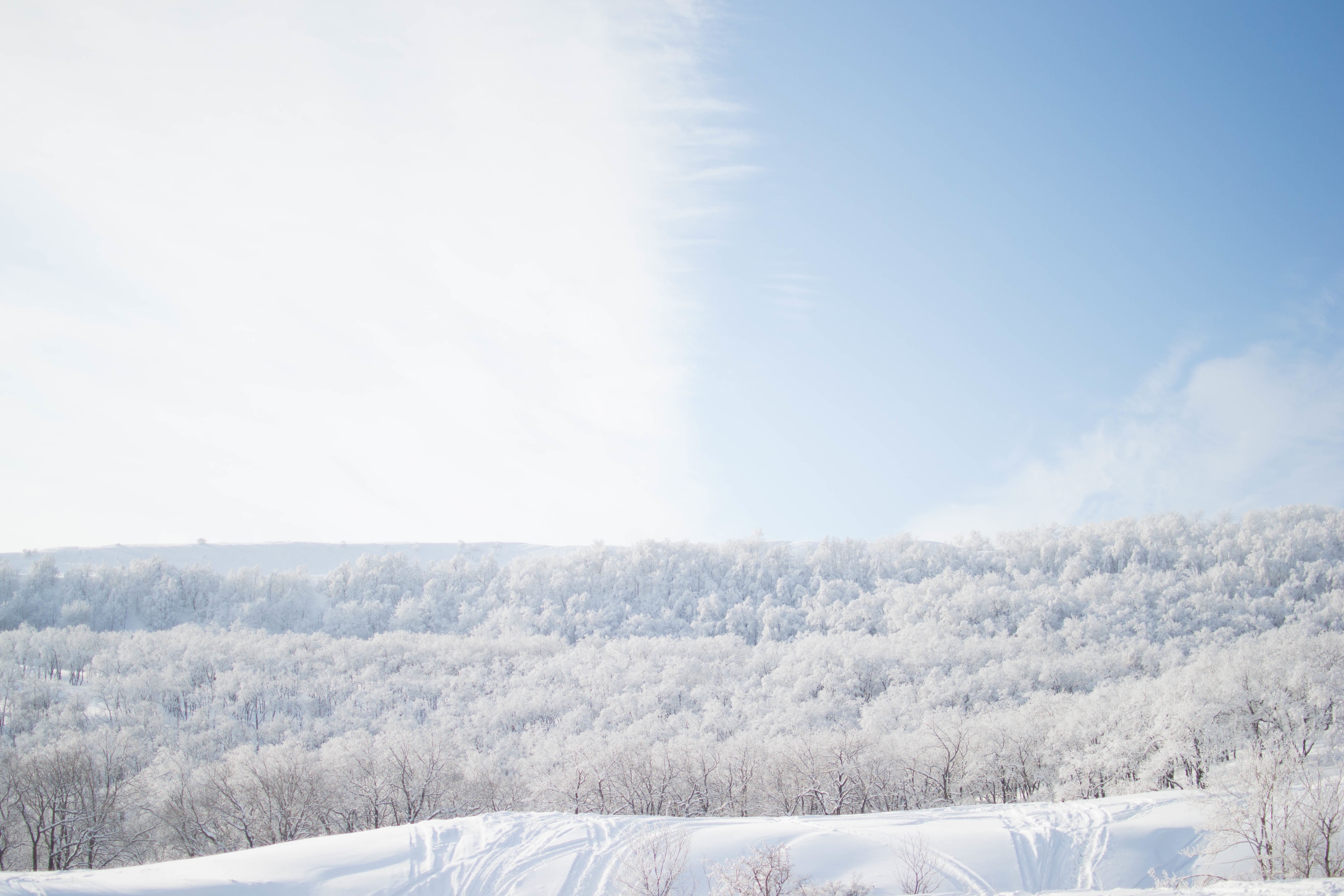 Descarga gratuita de fondo de pantalla para móvil de Naturaleza, Nieve, Cielo, Árboles.