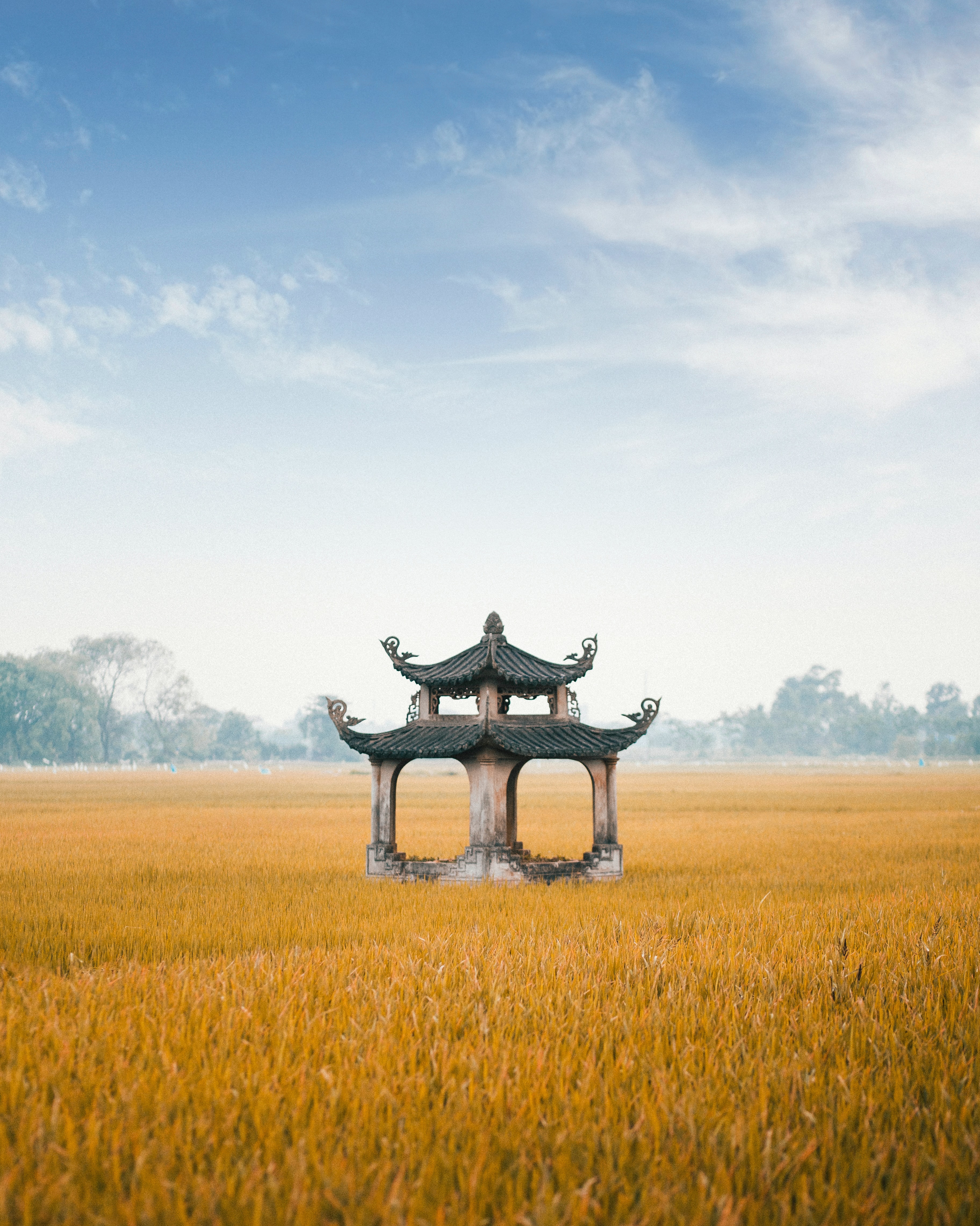 pagoda, architecture, miscellanea, miscellaneous, structure, field wallpapers for tablet