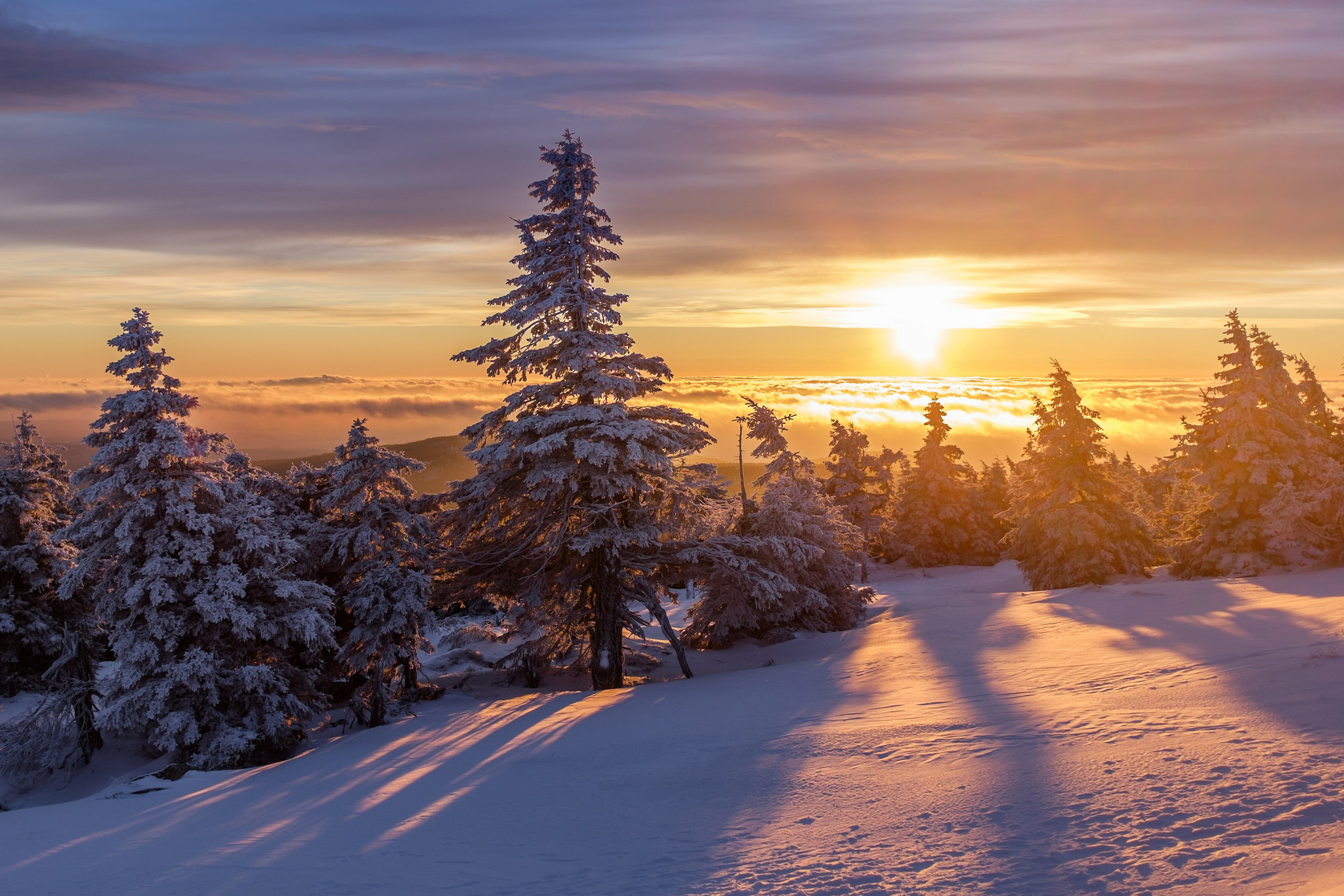 Скачать картинку Зима, Природа, Облака, Снег, Дерево, Восход Солнца, Земля/природа в телефон бесплатно.