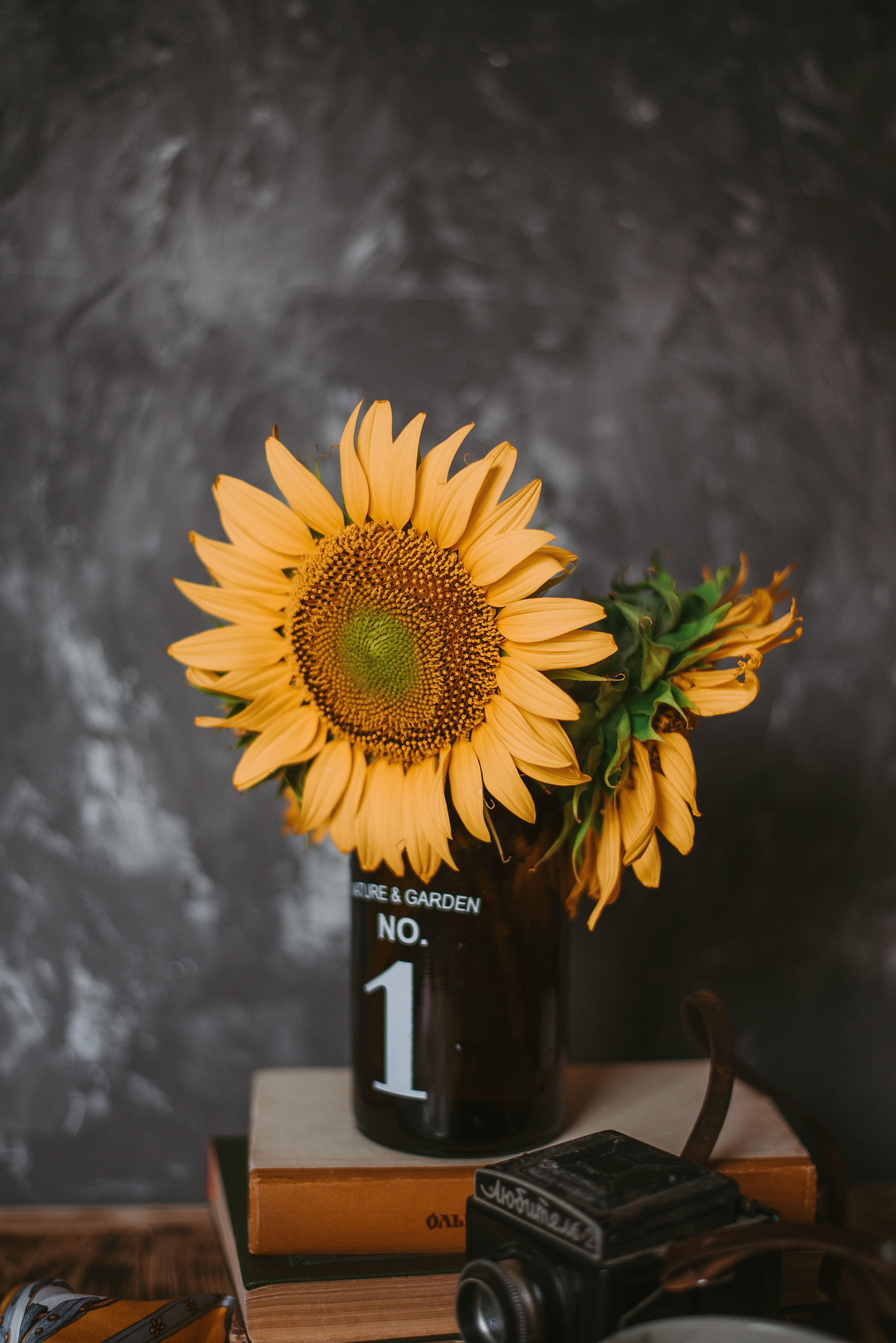 Free download wallpaper Flowers, Miscellanea, Miscellaneous, Vase, Camera, Sunflowers, Books on your PC desktop