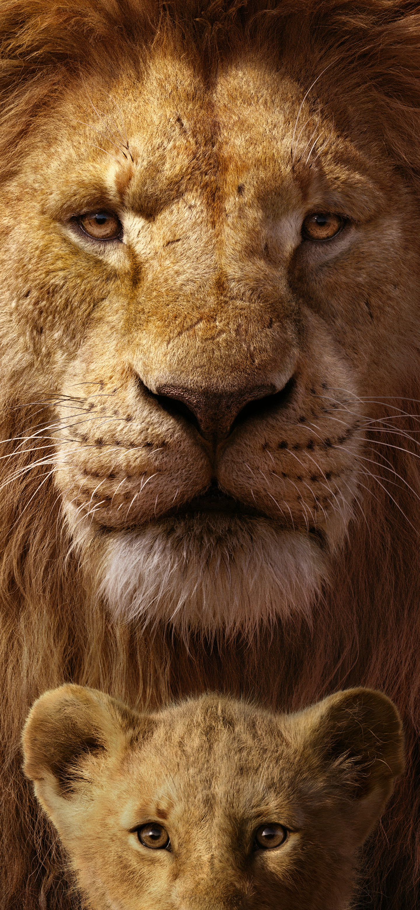 1360236 Hintergrundbild herunterladen filme, der könig der löwen (2019), simba, mufasa (der könig der löwen) - Bildschirmschoner und Bilder kostenlos