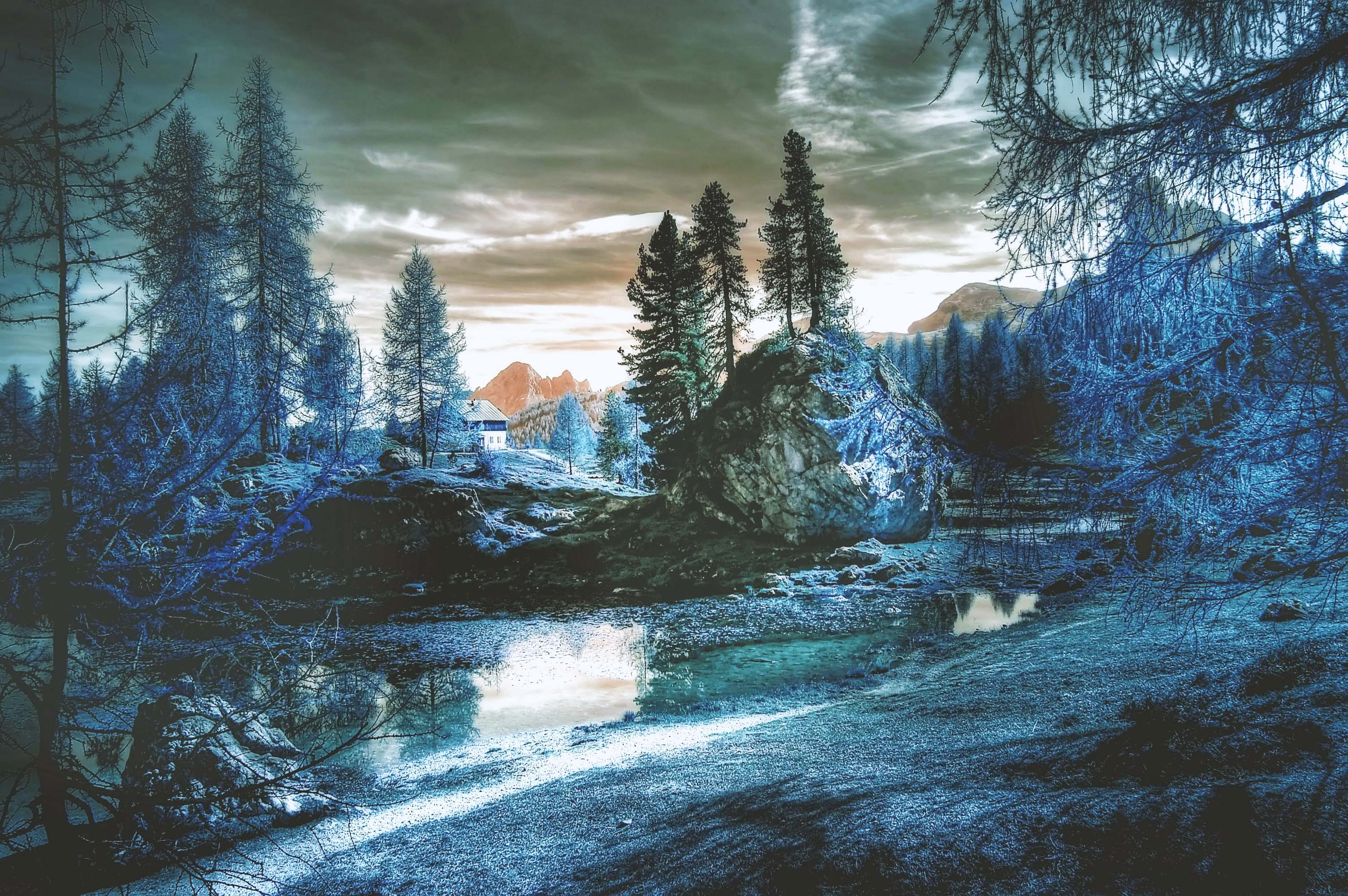 Free download wallpaper Fantasy, Forest on your PC desktop