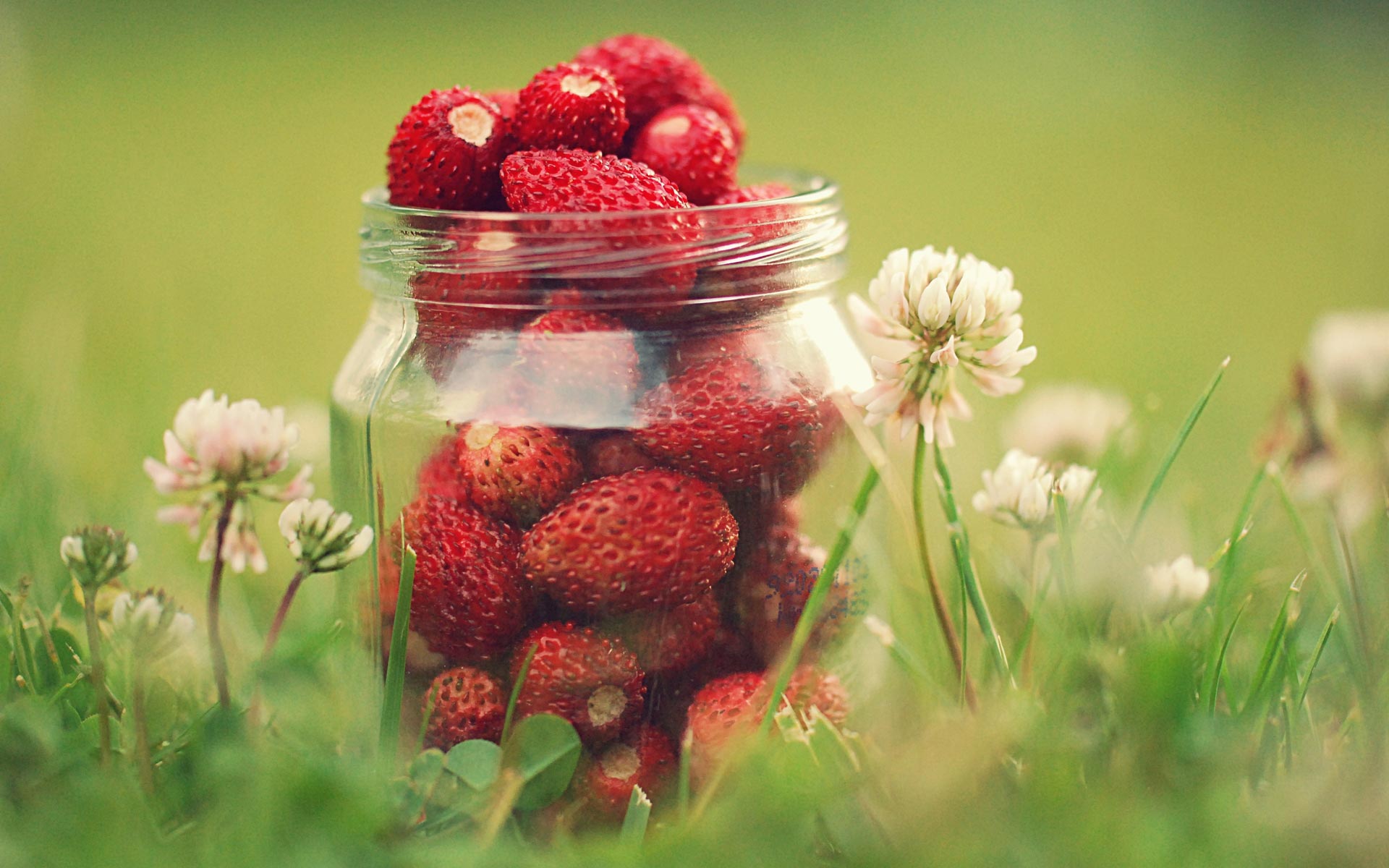 Download mobile wallpaper Food, Strawberry, Fruit for free.