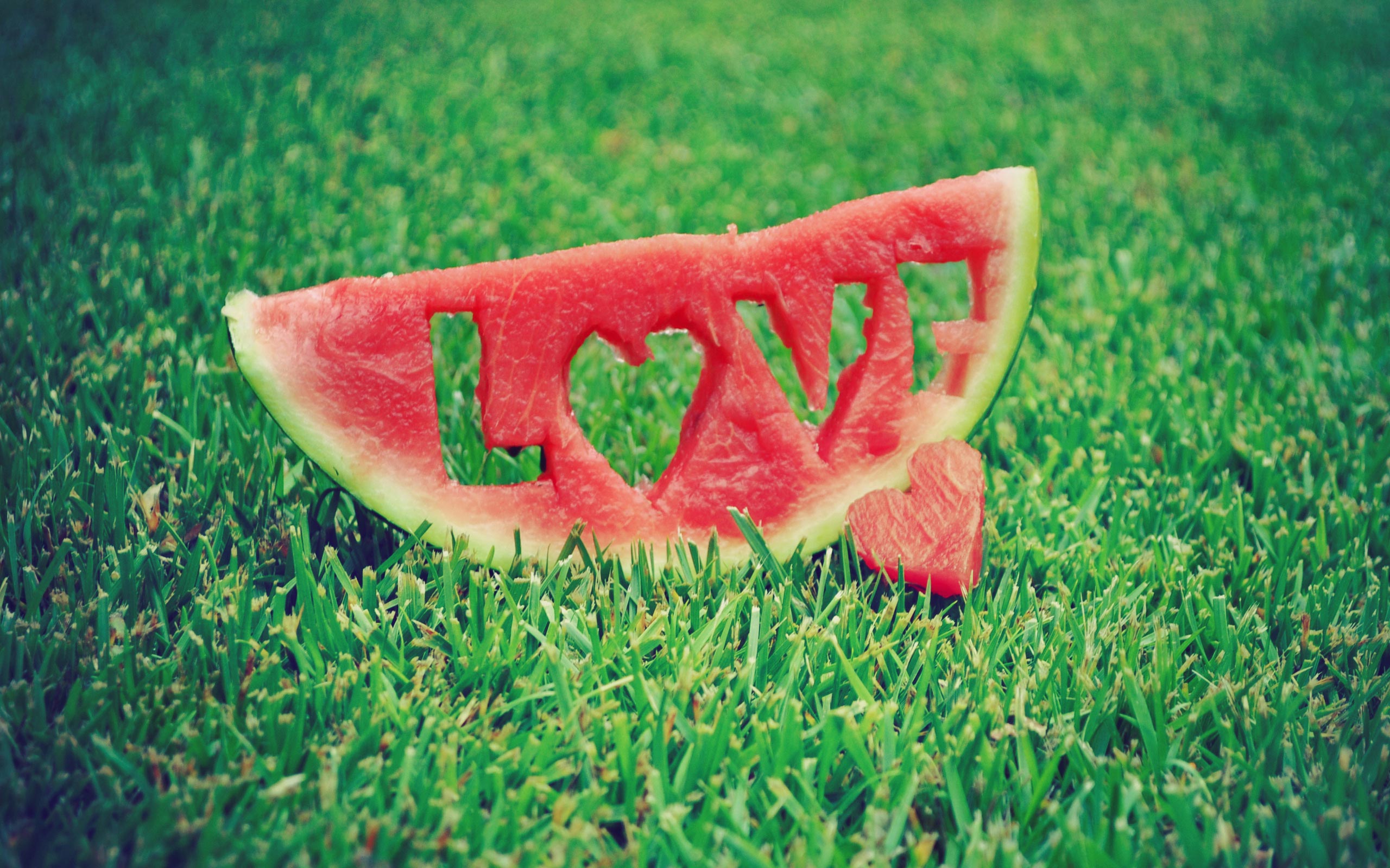 photography, heart, grass, watermelon, love