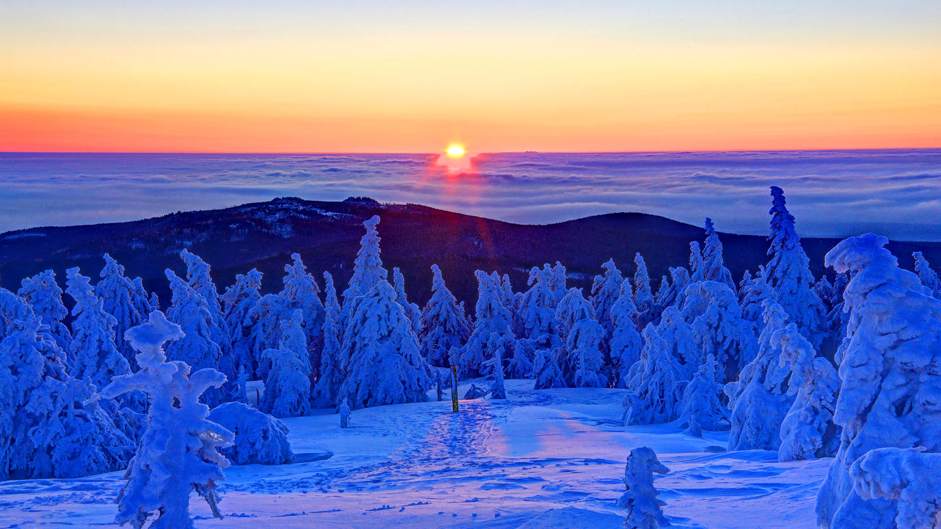 Handy-Wallpaper Landschaft, Winter, Natur, Schnee, Horizont, Baum, Wolke, Himmel, Sonnenuntergang, Sonne, Sonnenstrahl, Erde/natur kostenlos herunterladen.