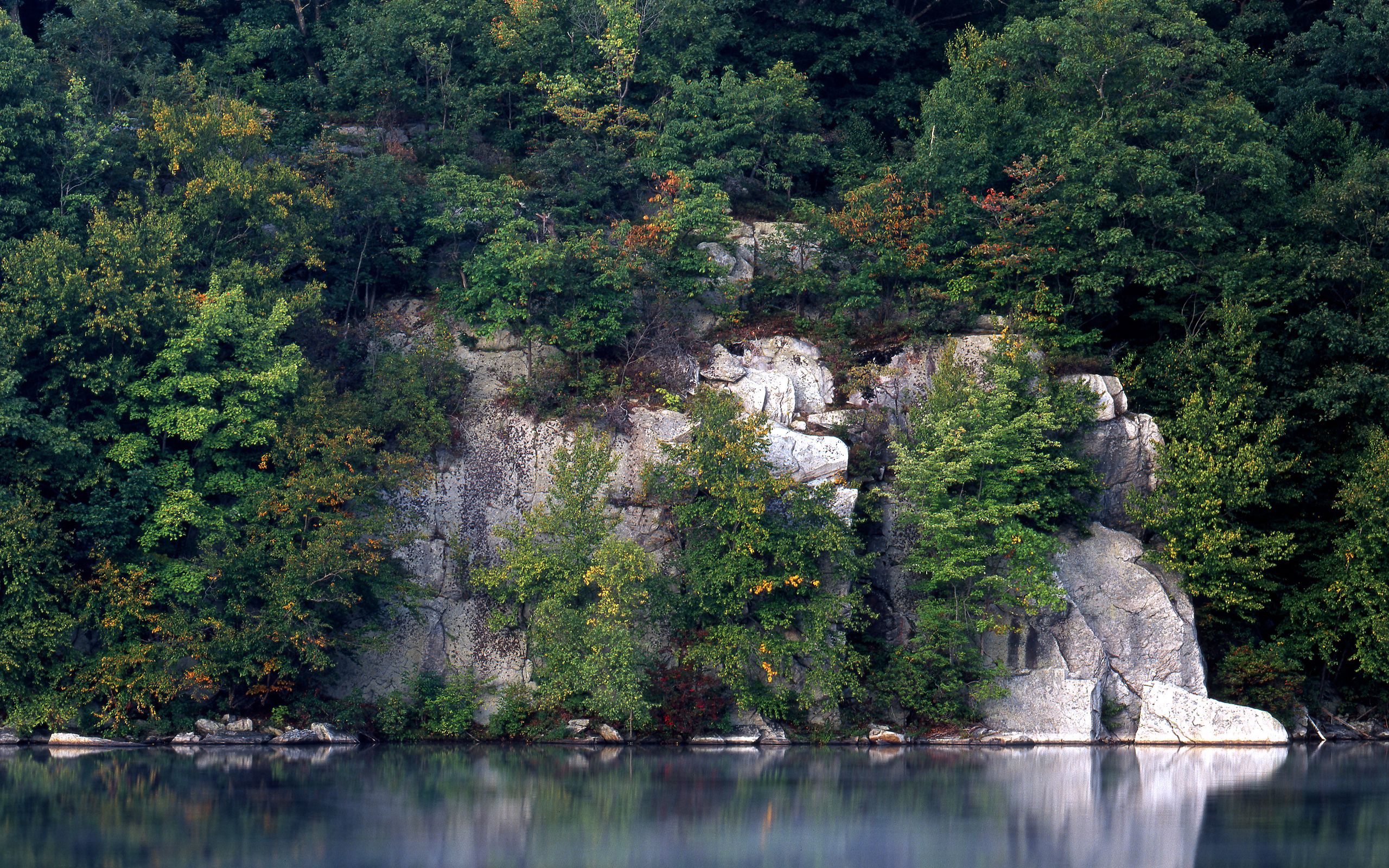 nature, trees, rocks, lake, vegetation, water surface