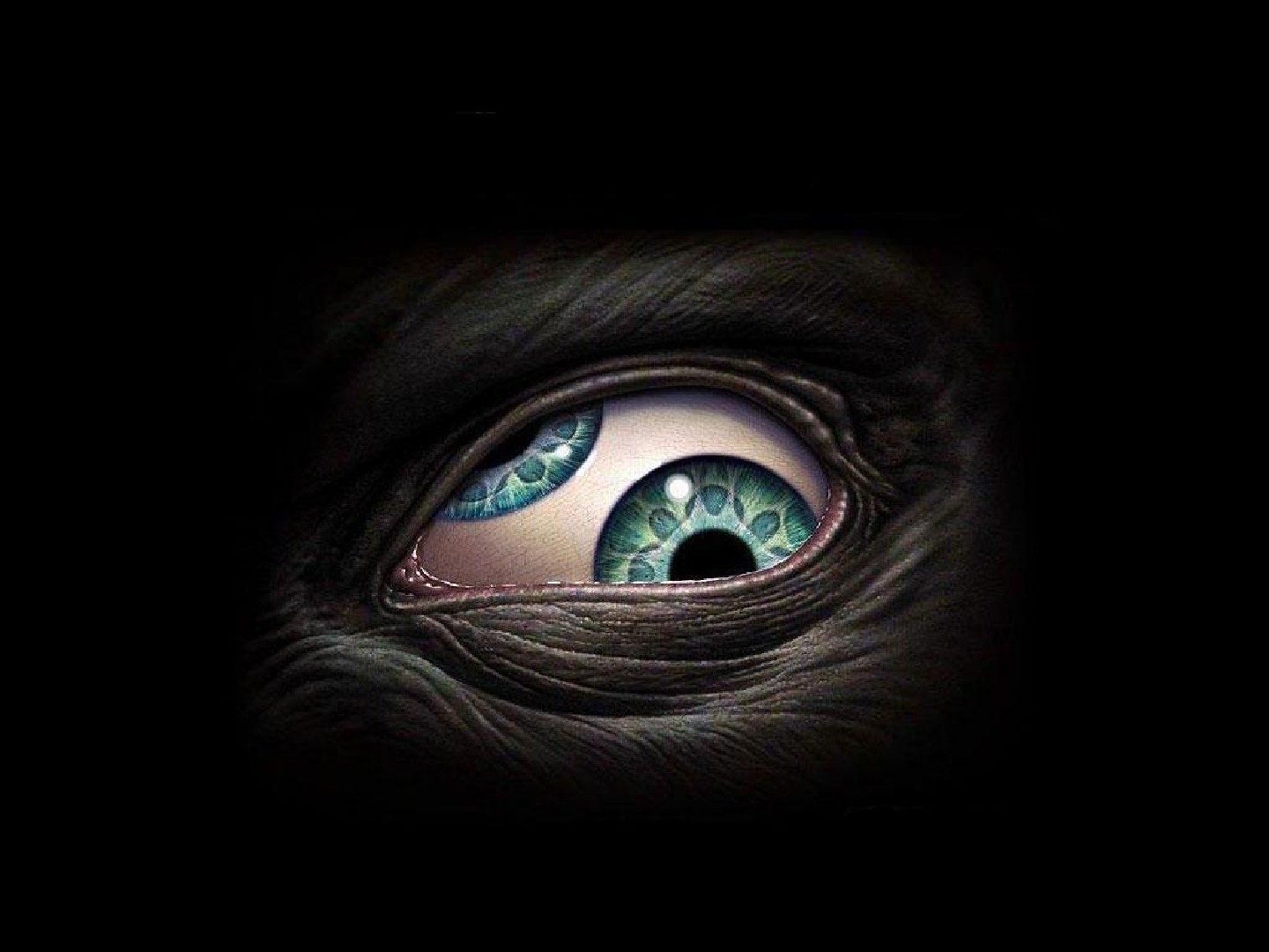 Download mobile wallpaper Dark, Eye for free.