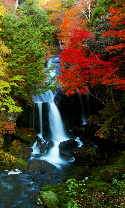 Handy-Wallpaper Herbst, Wasserfälle, Wasserfall, Wald, Erde, Erde/natur kostenlos herunterladen.