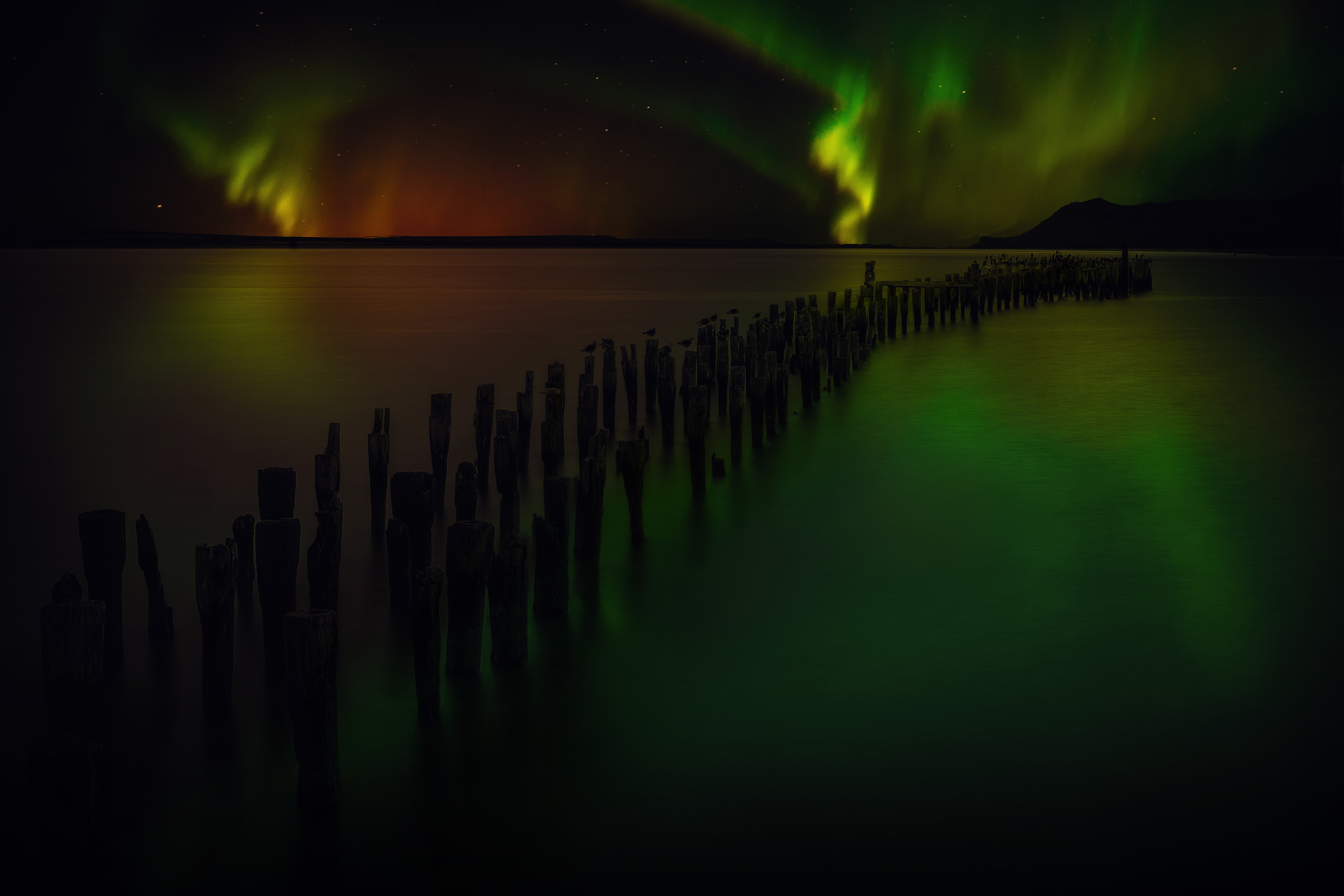 Download mobile wallpaper Nature, Sky, Night, Horizon, Light, Earth, Aurora Borealis for free.