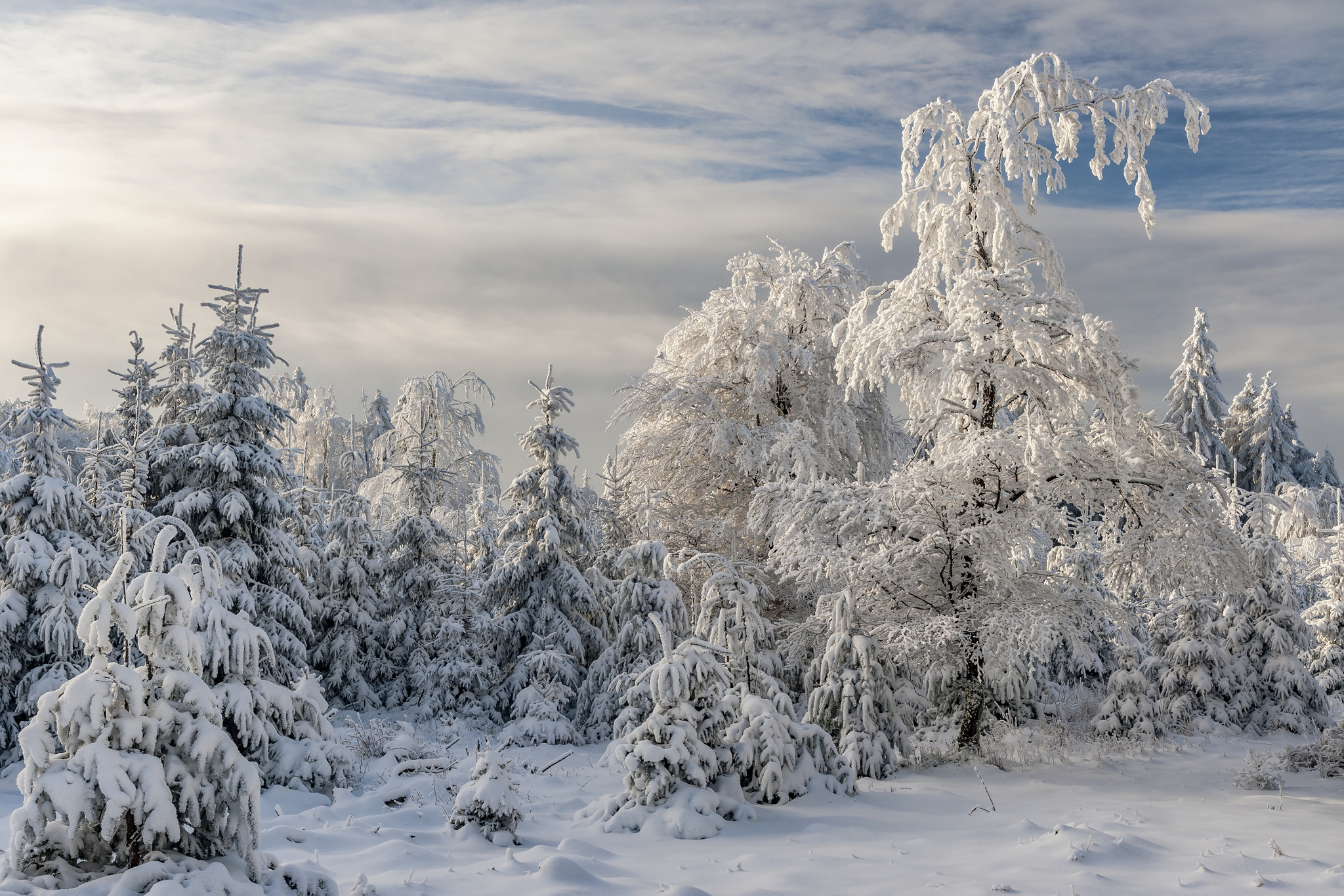 Téléchargez gratuitement l'image Hiver, Terre/nature sur le bureau de votre PC