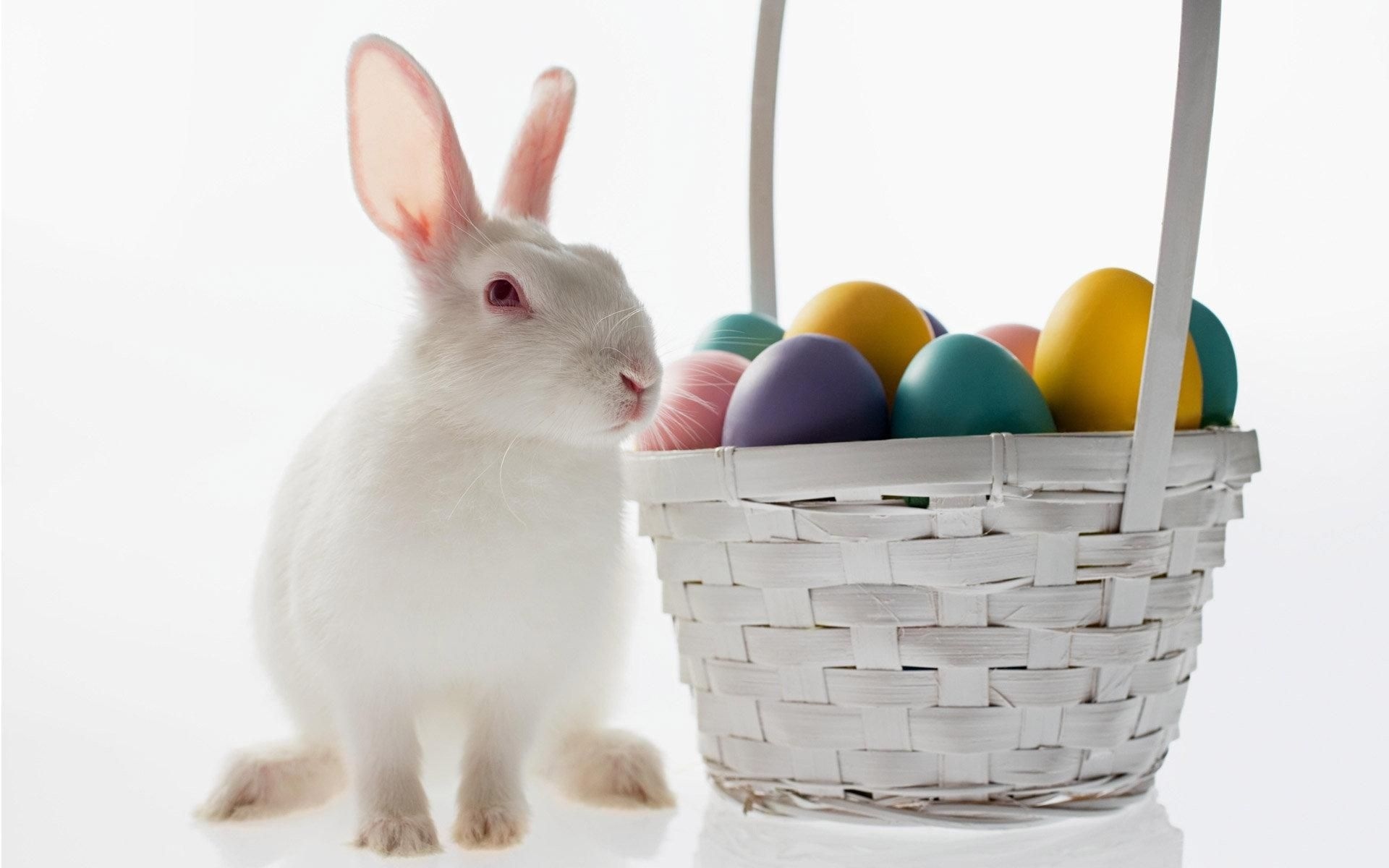 601373 скачать обои животные, кролик, пасхальное яйцо - заставки и картинки бесплатно