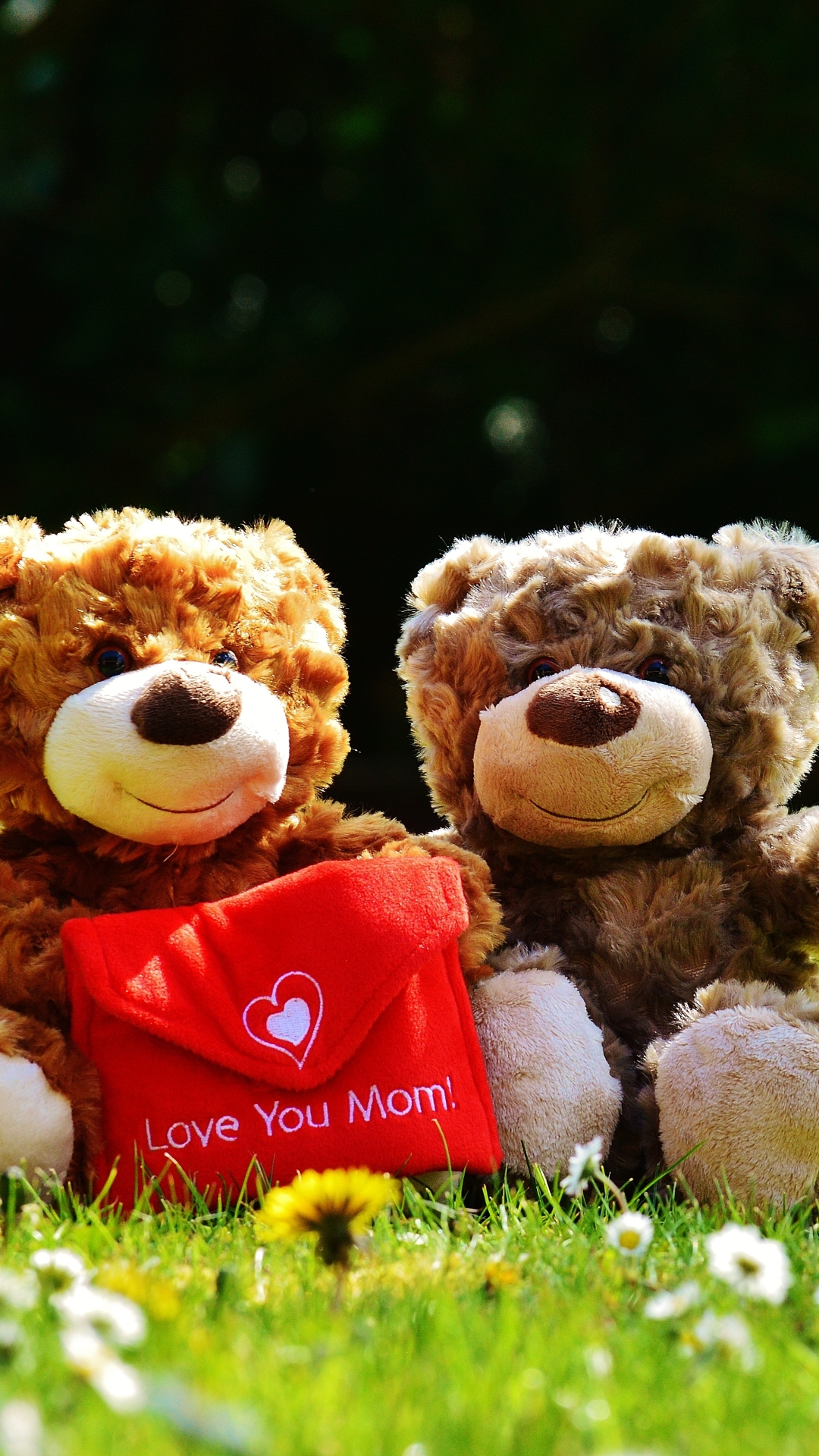 Handy-Wallpaper Feiertage, Spielzeug, Liebe, Teddybär, Muttertag, Kuscheltier, Ausgestopftes Tier kostenlos herunterladen.