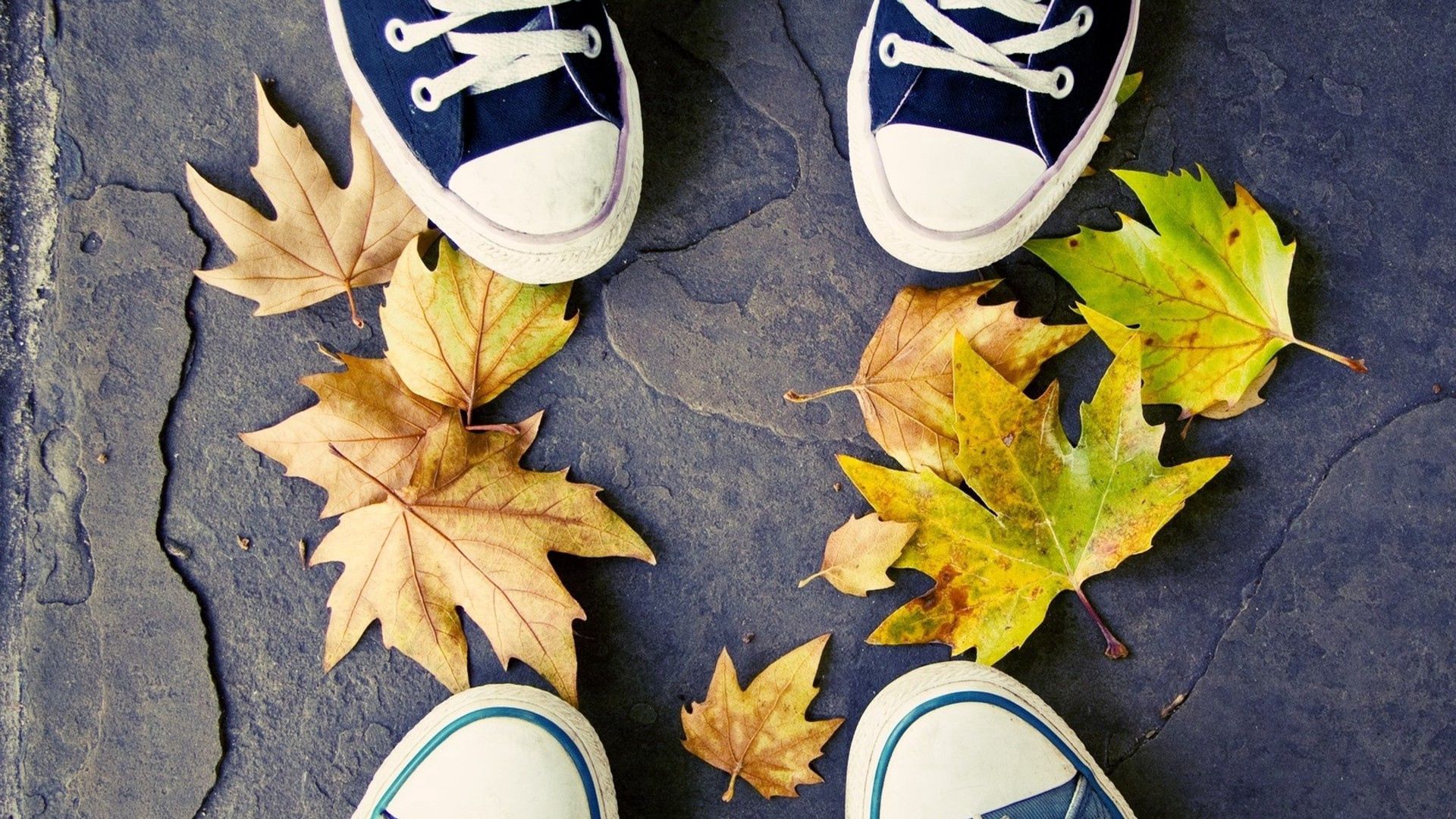 150037 завантажити картинку осінь, листя, різне, ноги, взуття, кеди - шпалери і заставки безкоштовно