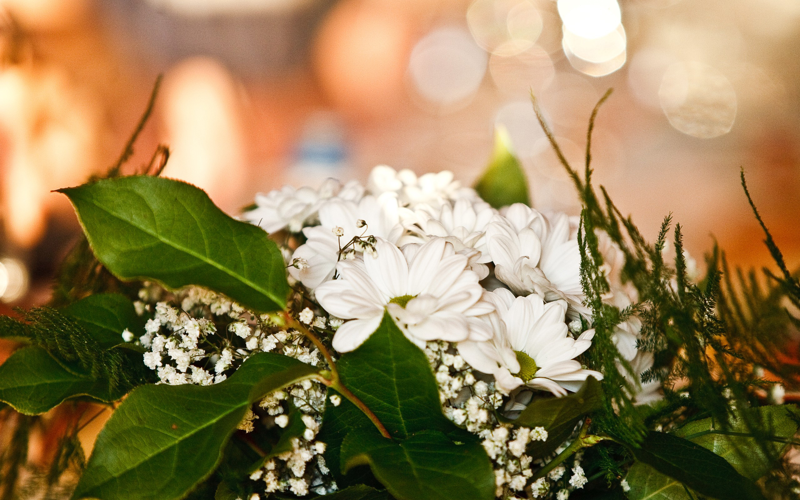 Laden Sie das Blumen, Blume, Erde/natur-Bild kostenlos auf Ihren PC-Desktop herunter