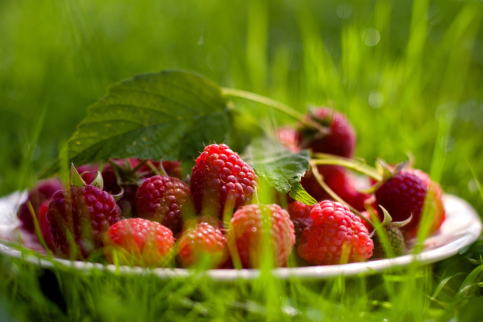Download mobile wallpaper Grass, Sheet, Plate, Food, Berry, Leaf, Raspberry for free.