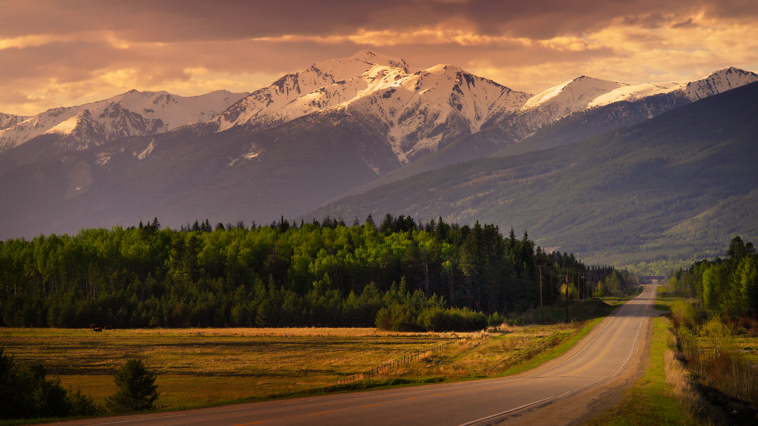 Download mobile wallpaper Landscape, Snow, Mountain, Road, Forest, Tree, Man Made for free.