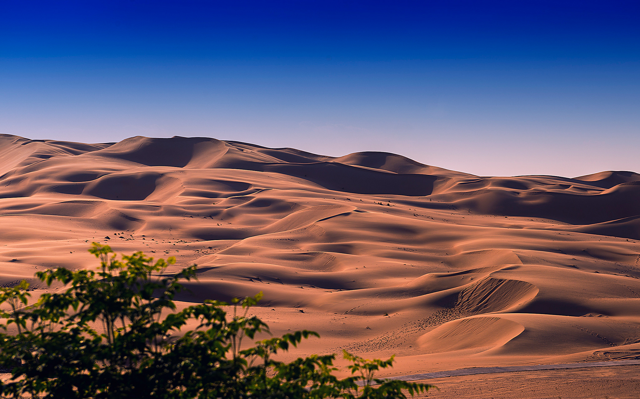 Скачать картинку Природа, Песок, Пустыня, Дюна, Ландшафт, Земля/природа в телефон бесплатно.