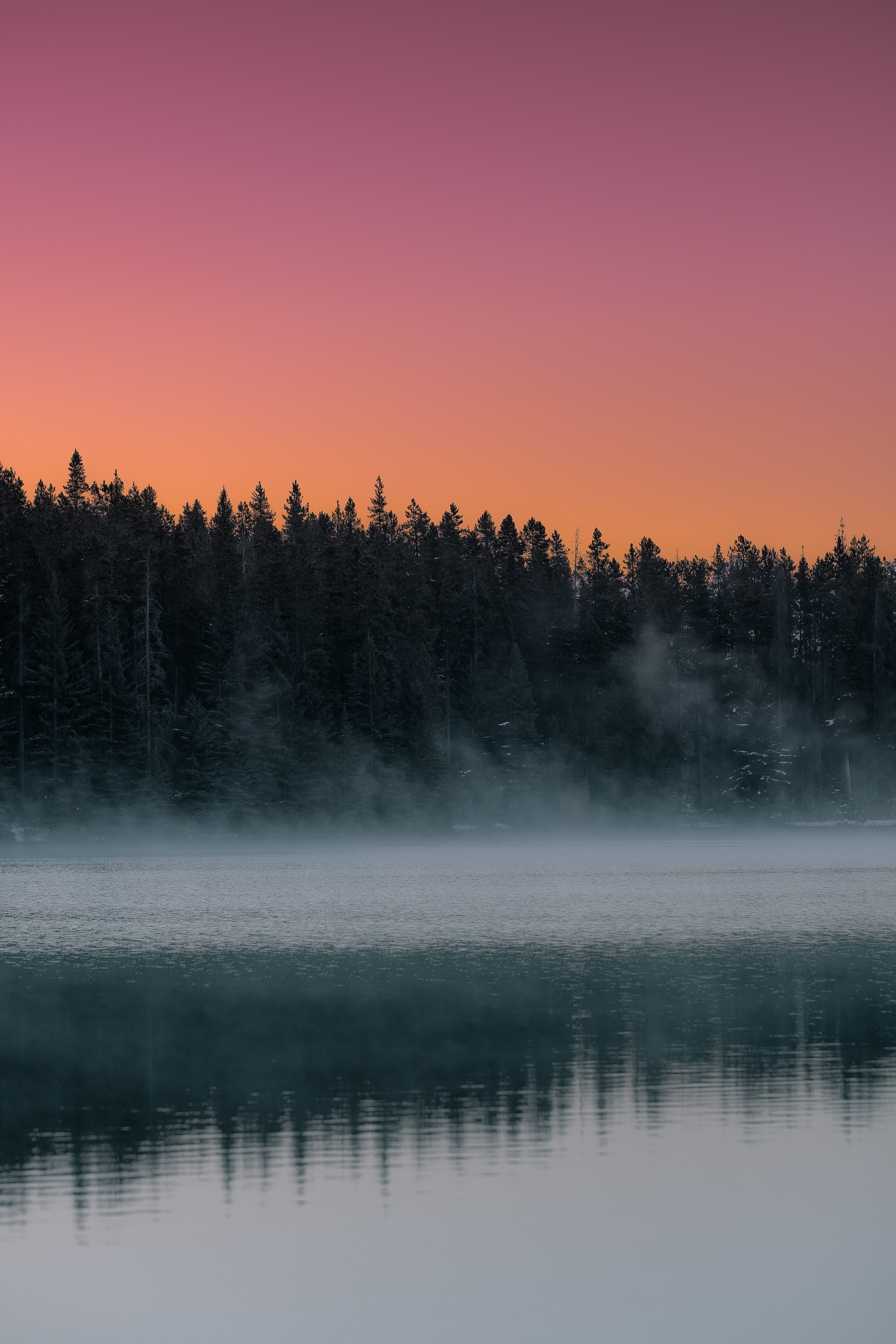 Laden Sie das Natur, See, Nebel, Dämmerung, Twilight, Landschaft, Bäume-Bild kostenlos auf Ihren PC-Desktop herunter