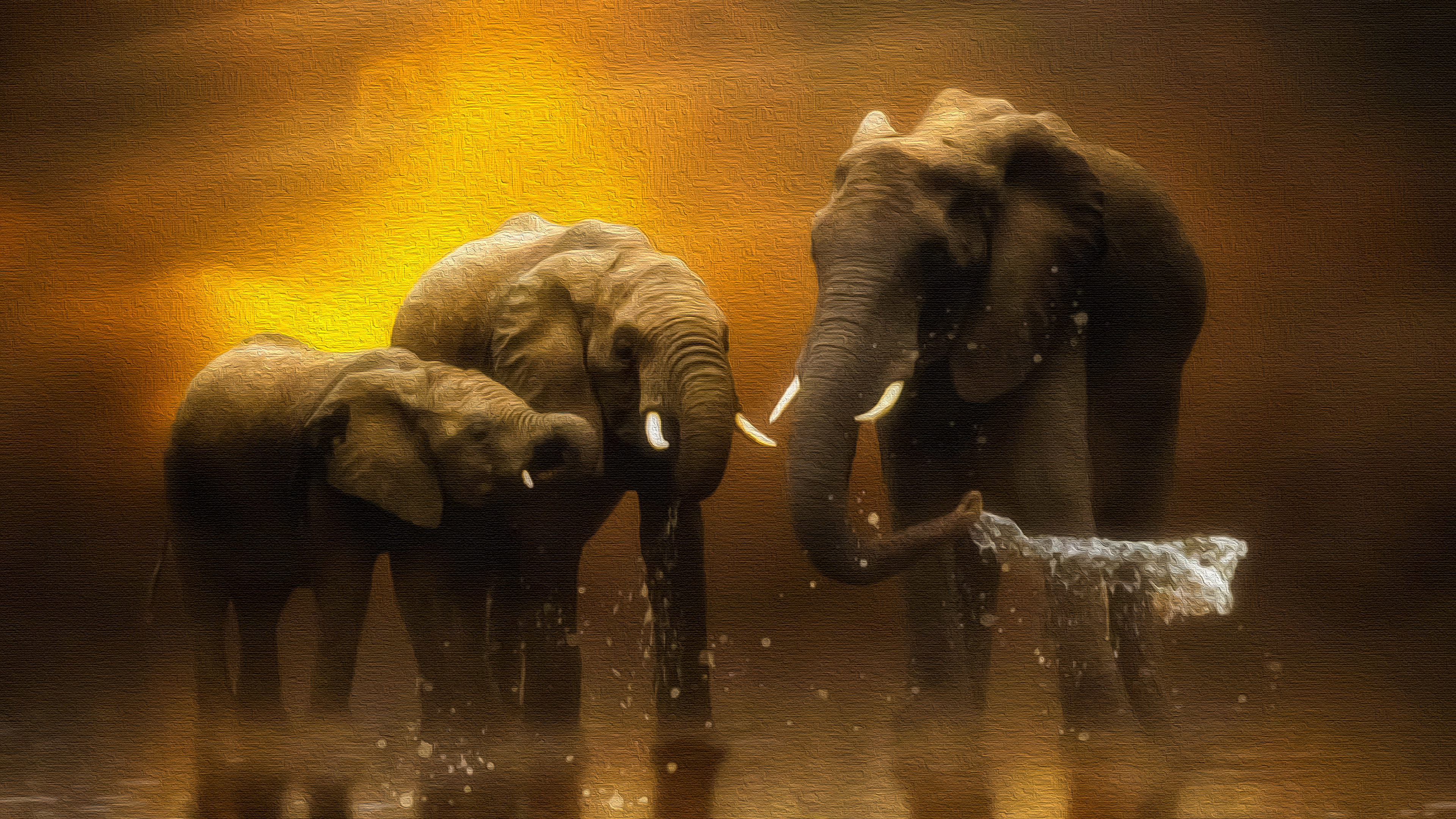 Free download wallpaper Elephants, Animal, African Bush Elephant on your PC desktop