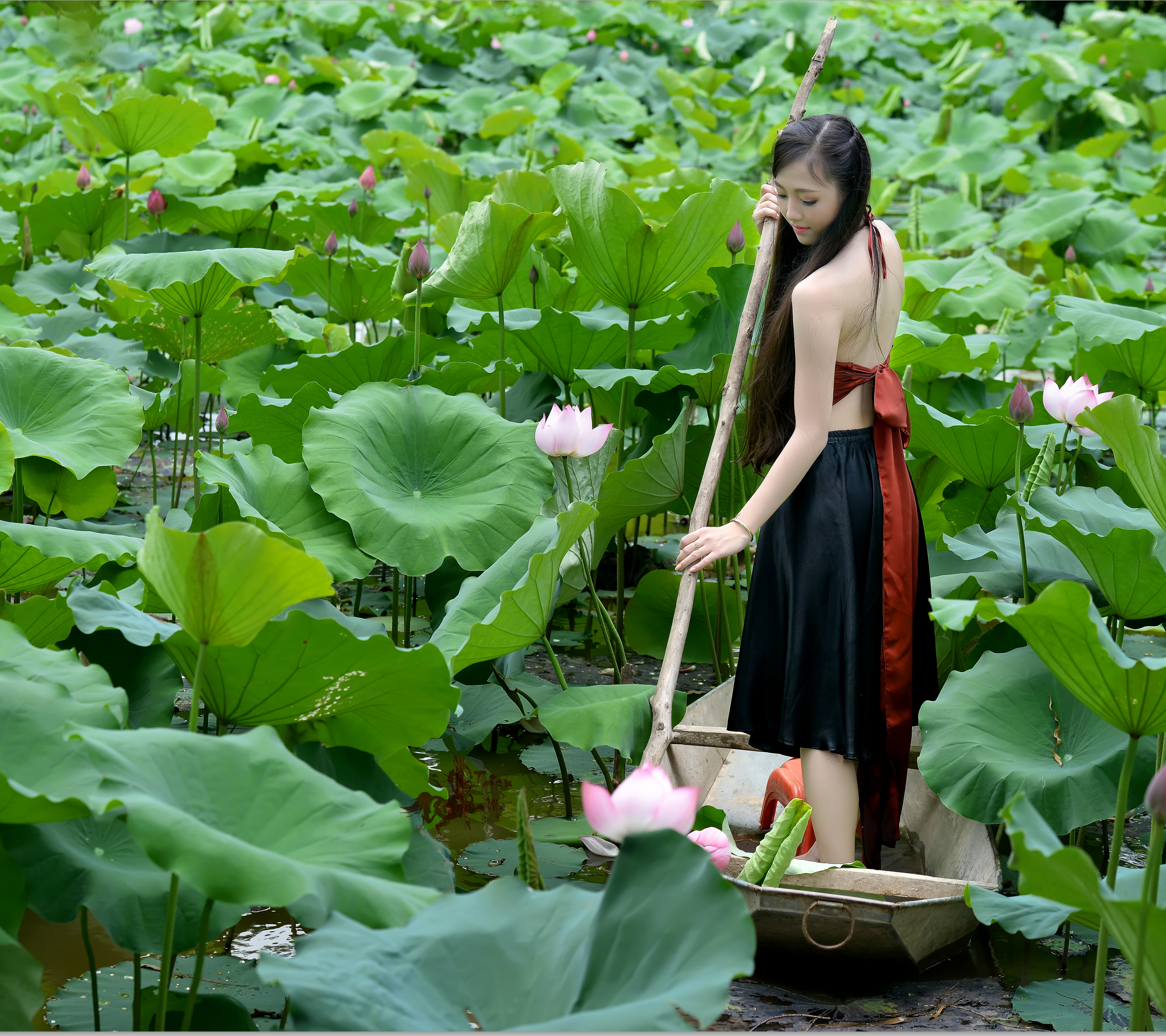 Téléchargez gratuitement l'image Lotus, Fleur, Feuille, Bateau, Étang, Asiatique, Femmes, Vietnamien, Punt Pôle, Punt Poteau sur le bureau de votre PC
