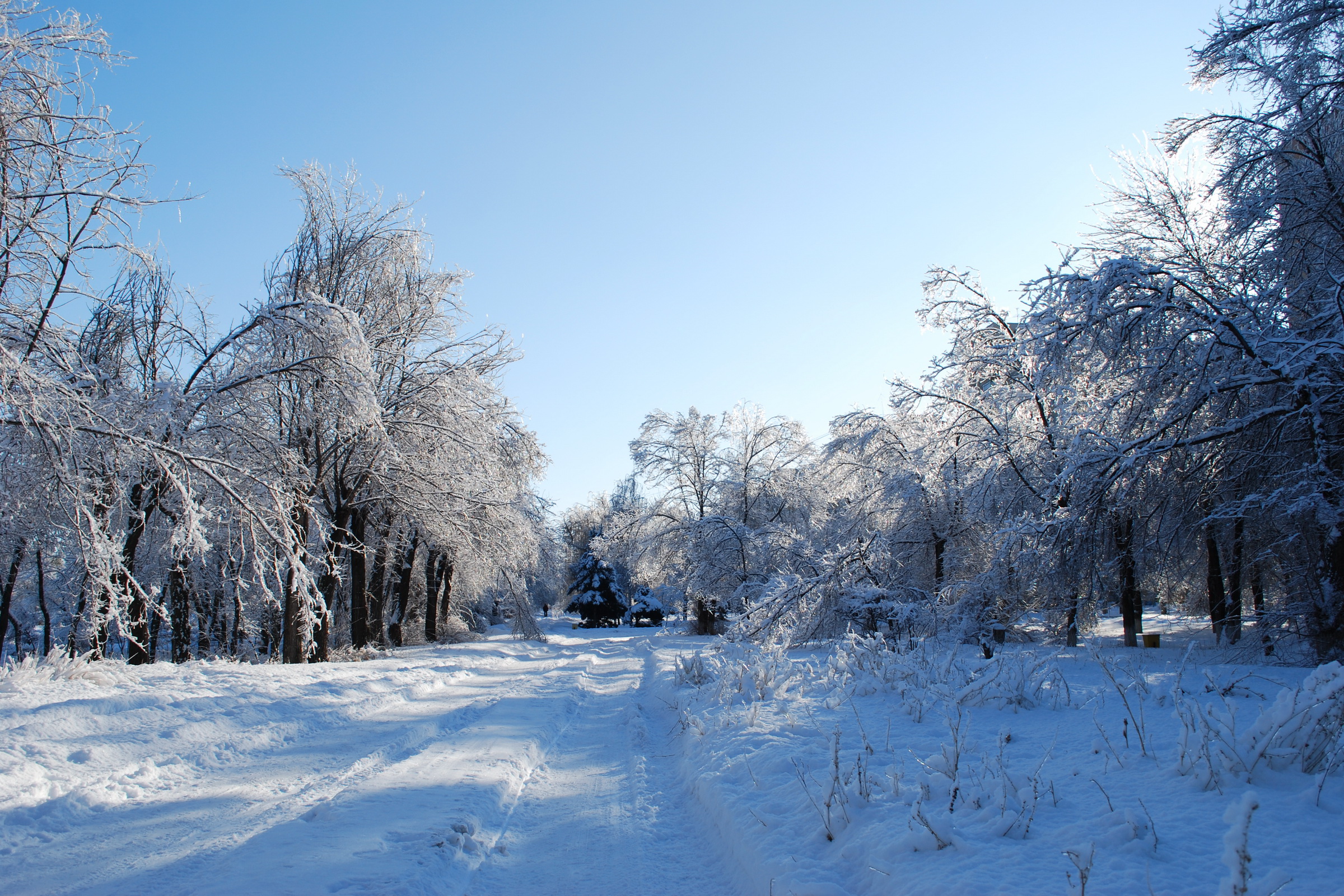 Free download wallpaper Winter, Earth on your PC desktop