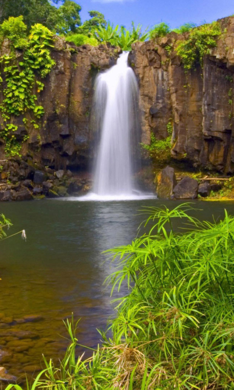Скачать картинку Водопады, Водопад, Дерево, Земля, Зеленый, Земля/природа в телефон бесплатно.