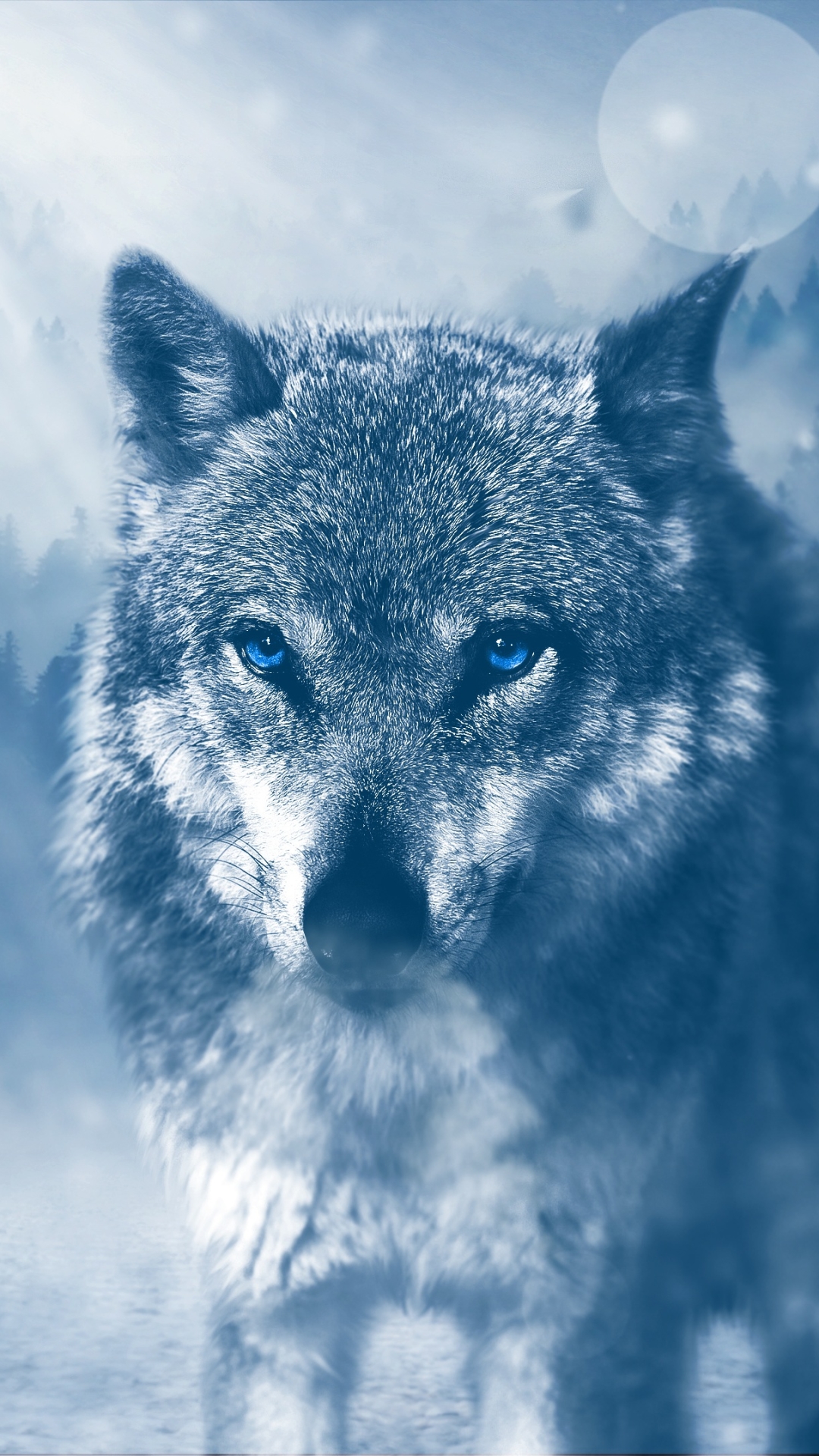 Handy-Wallpaper Tiere, Wolf, Bokeh, Blaue Augen, Wolves kostenlos herunterladen.
