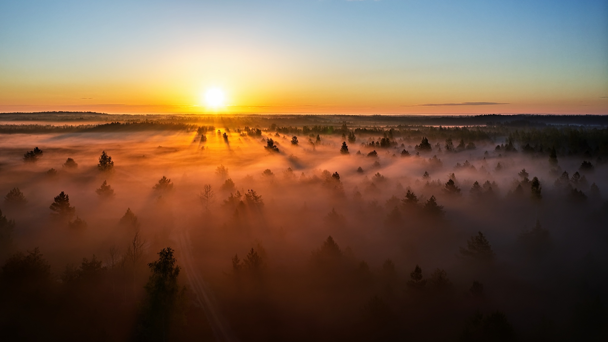 983245壁紙のダウンロード地球, 霧, 森, 地平線, リトアニア, 自然, 日没-スクリーンセーバーと写真を無料で