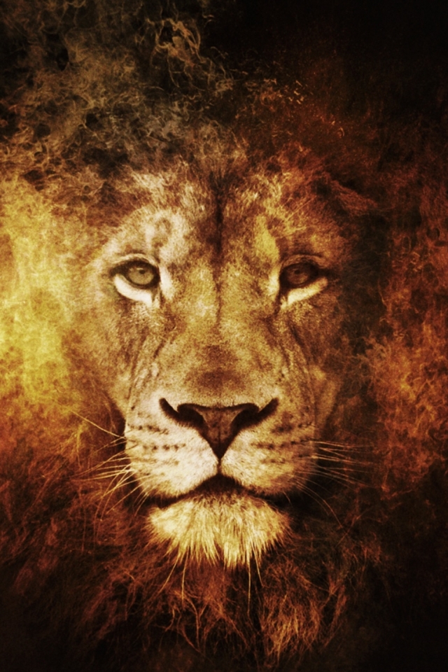 Download mobile wallpaper Cats, Lion, Animal for free.