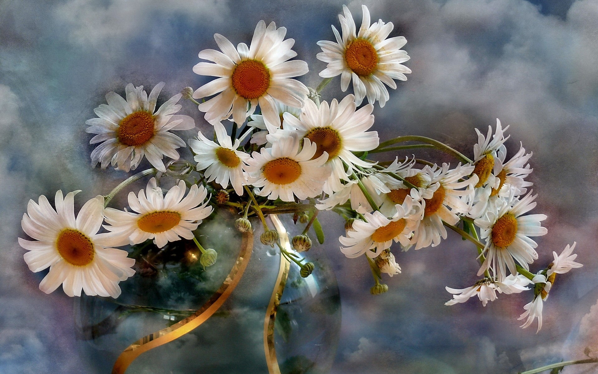 Download mobile wallpaper Still Life, Vase, Chamomile, Photography, White Flower for free.