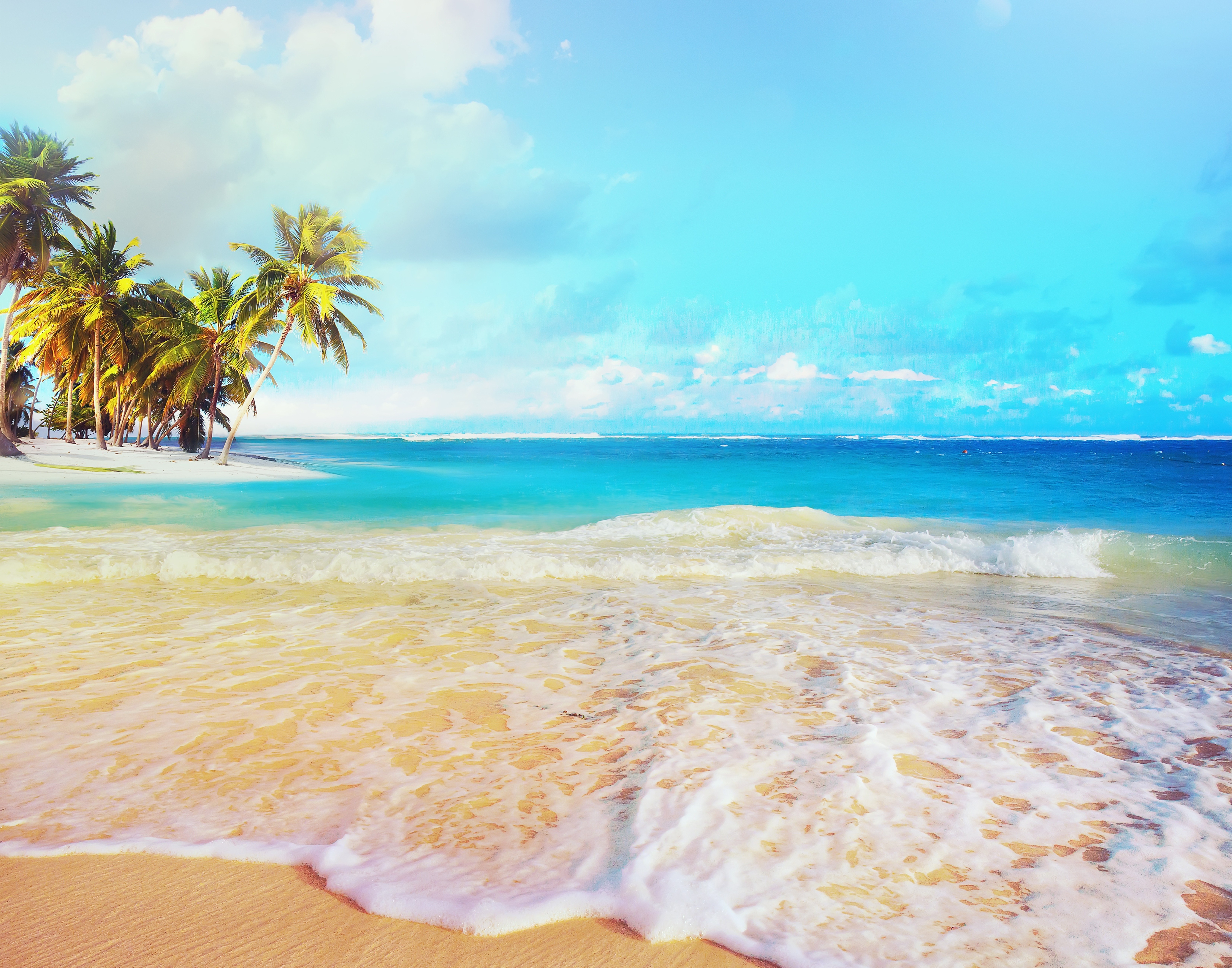 Download mobile wallpaper Nature, Beach, Horizon, Ocean, Earth, Tropical, Palm Tree for free.