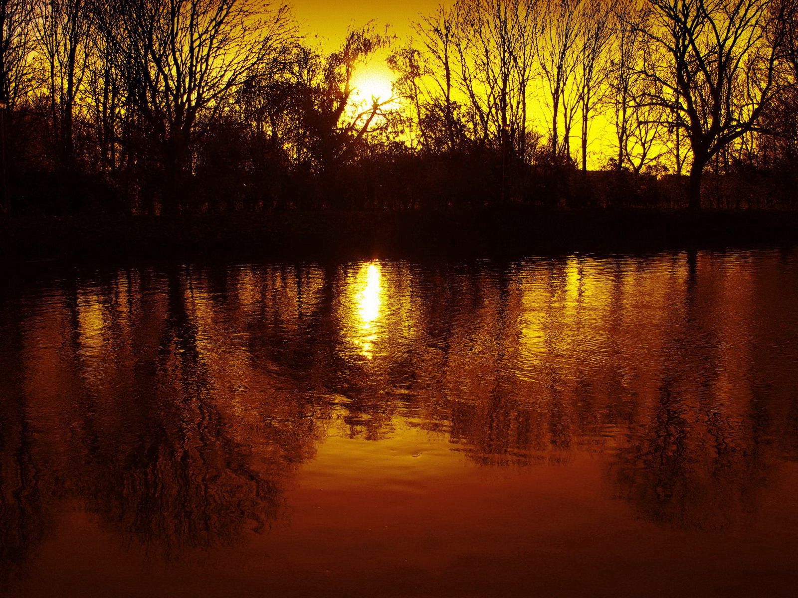 Download mobile wallpaper Reflection, Branches, Branch, Sunset, Sun, Nature, Trees for free.
