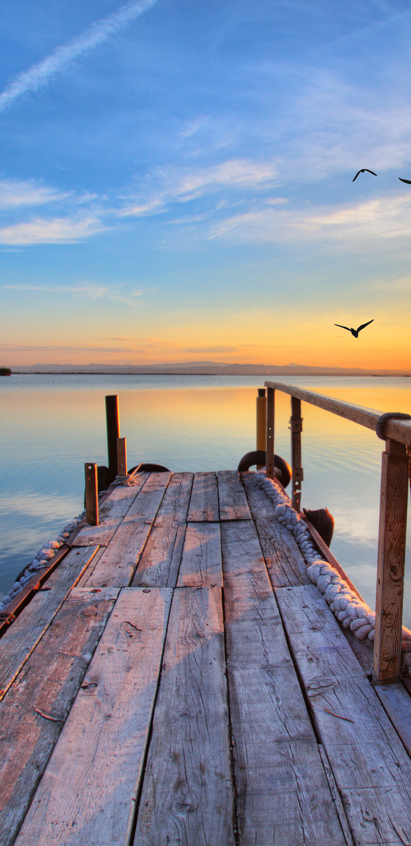 Descarga gratuita de fondo de pantalla para móvil de Lago, Muelle, Pájaro, Ave, Hecho Por El Hombre.