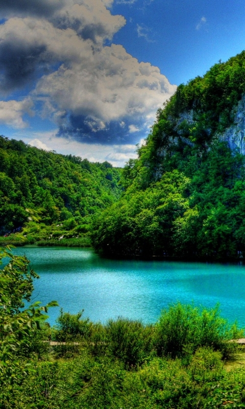 Скачать картинку Озера, Озеро, Лес, Дерево, Земля, Зеленый, Бирюзовый, Хорватия, Земля/природа в телефон бесплатно.