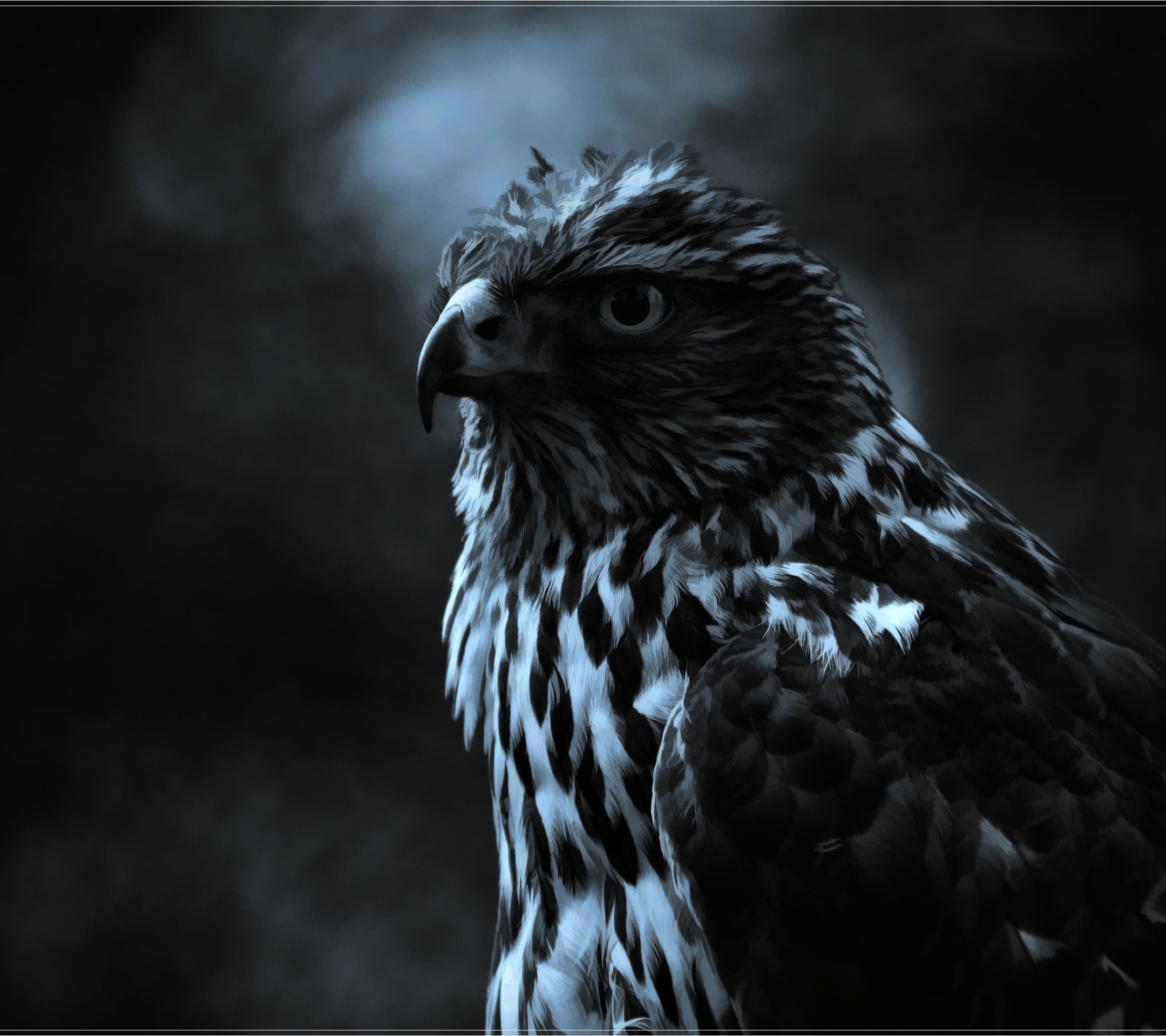 Free download wallpaper Birds, Bird, Falcon, Animal, Painting on your PC desktop