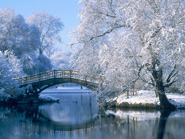 Free download wallpaper Winter, Water, Snow, Reflection, Tree, Bridge, Pond, Photography on your PC desktop