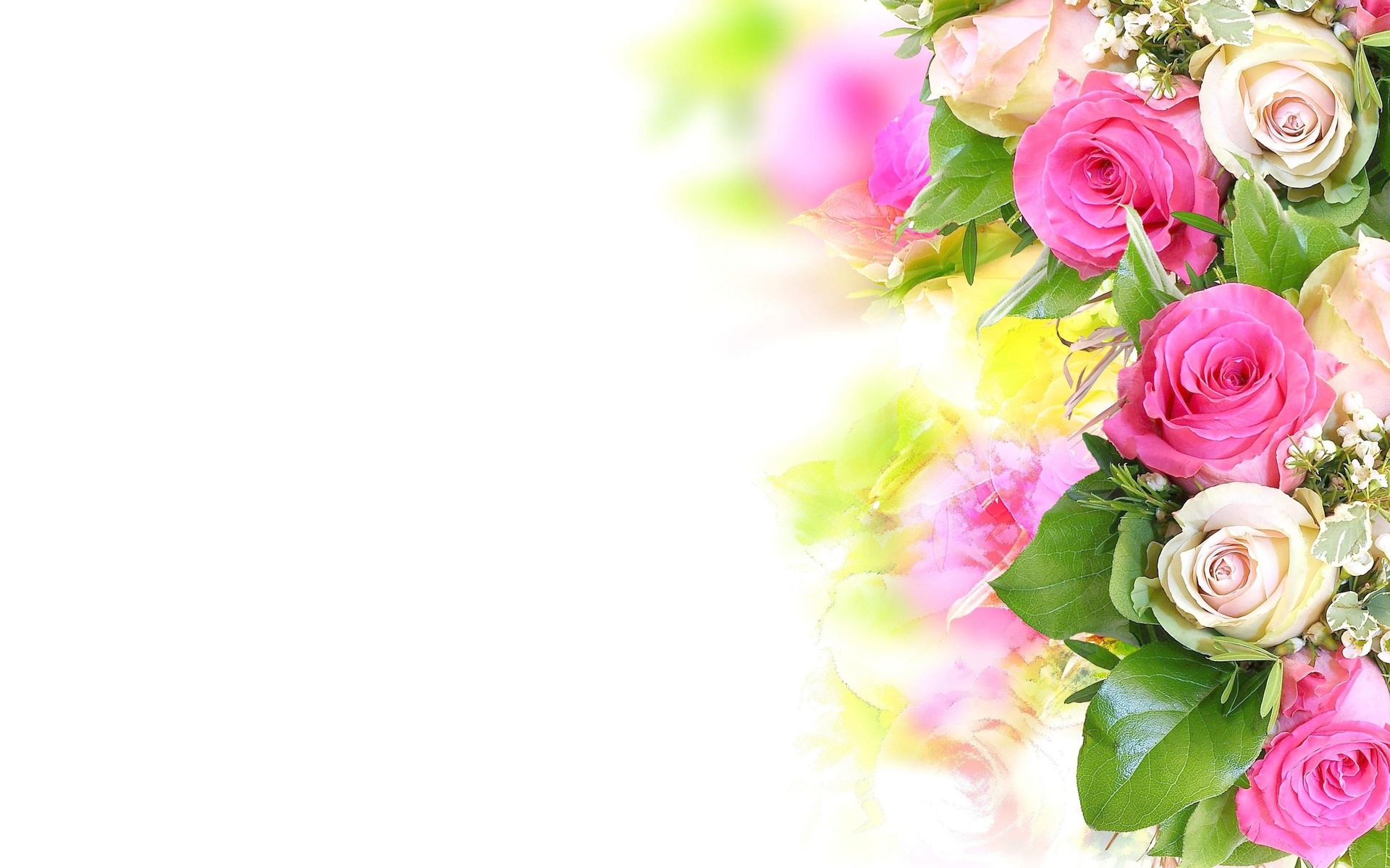 Завантажити шпалери безкоштовно Квітка, Роза, Земля, Флауерзи картинка на робочий стіл ПК