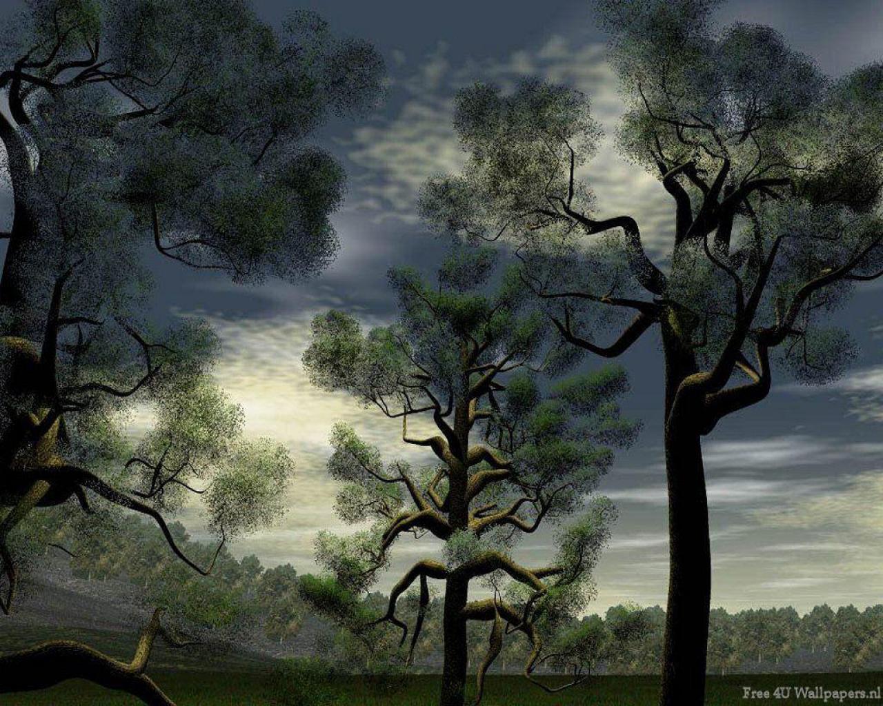 Free download wallpaper Tree, Earth on your PC desktop