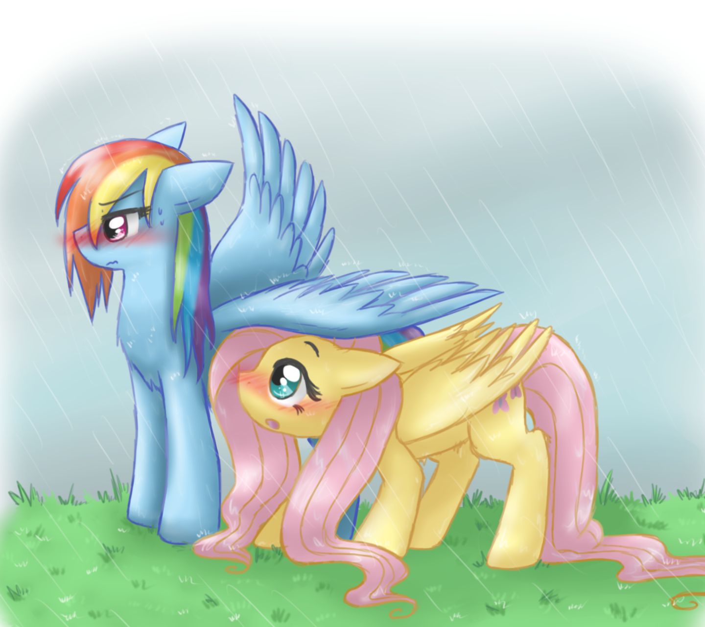 Laden Sie das Mein Kleines Pony, Fernsehserien, My Little Pony Freundschaft Ist Magie, Rainbow Dash, Fluttershy (Mein Kleines Pony)-Bild kostenlos auf Ihren PC-Desktop herunter