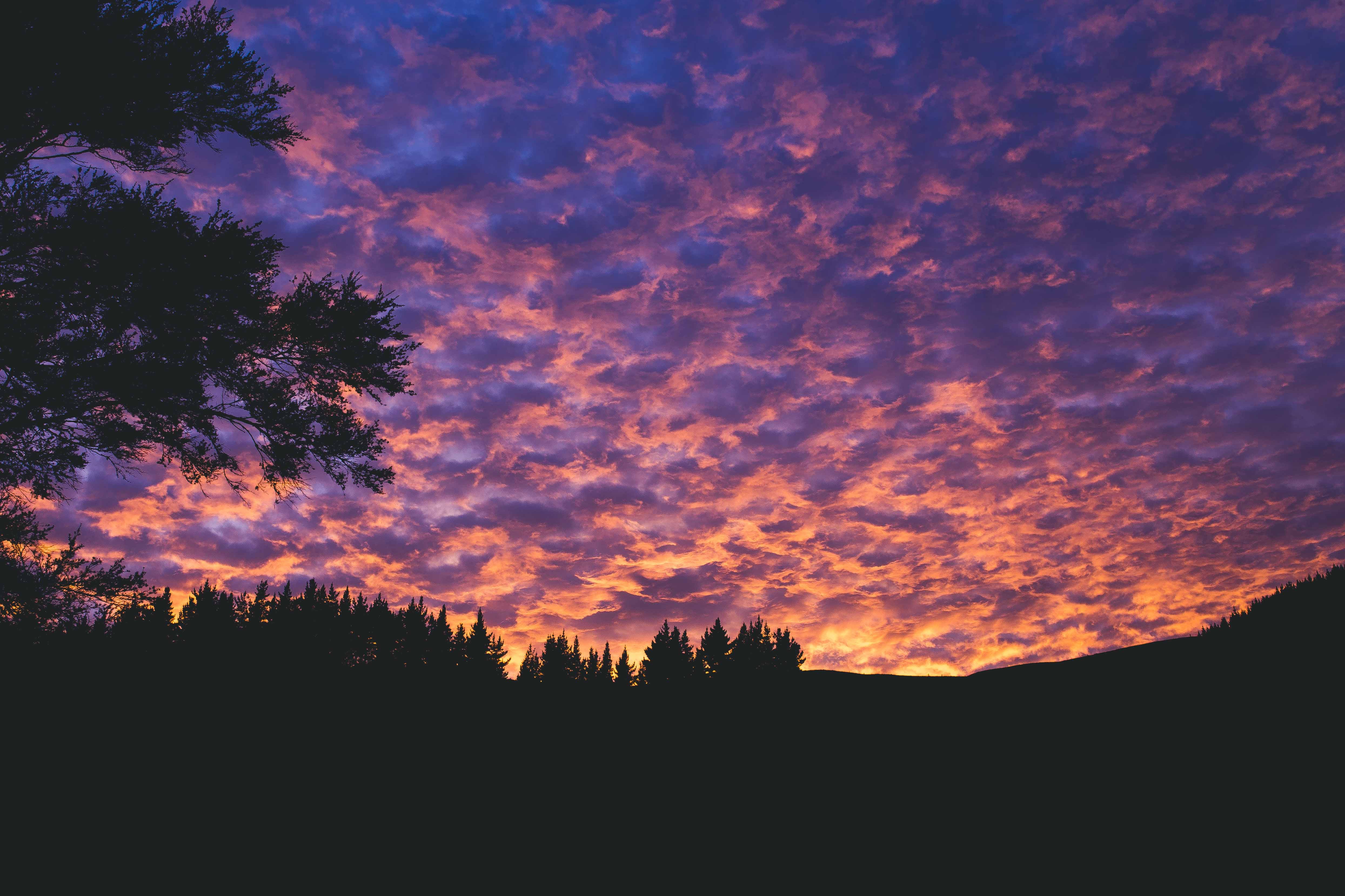 Handy-Wallpaper Sunset, Clouds, Abend, Poröse, Bäume, Porös, Dunkel kostenlos herunterladen.