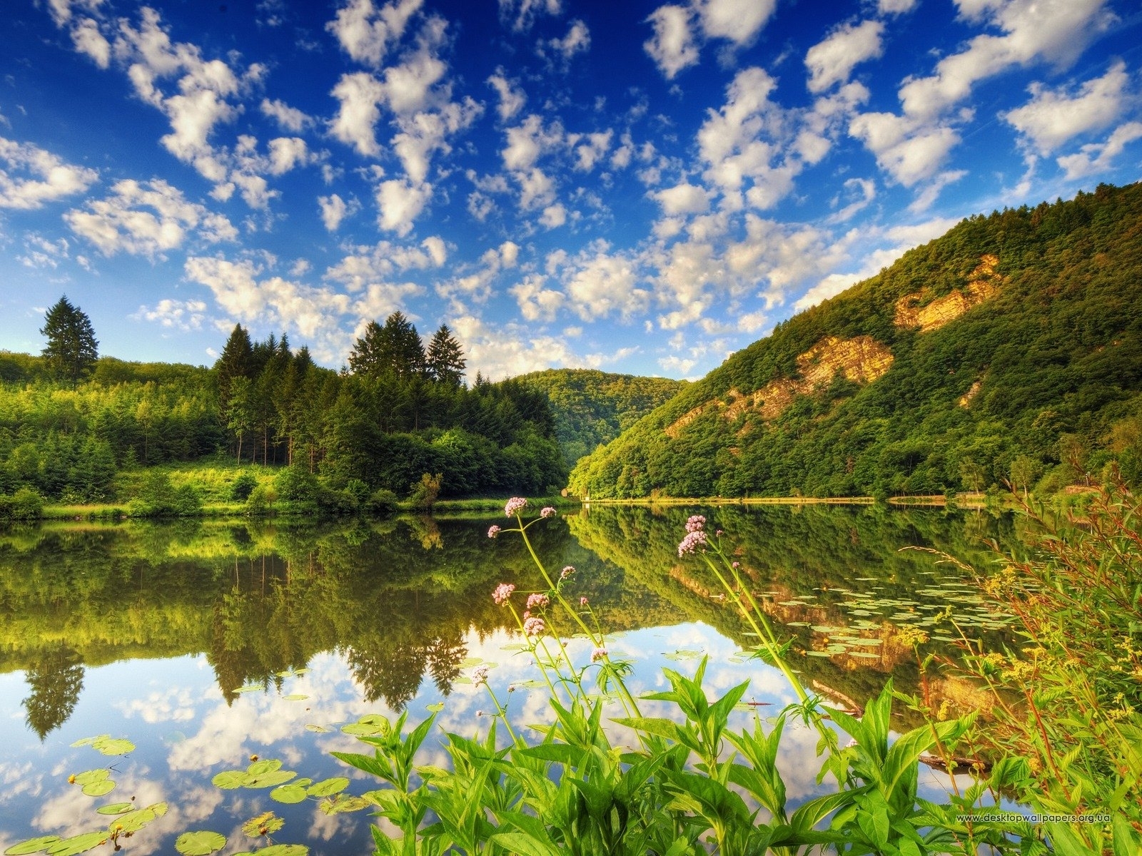 Laden Sie das Wasser, Bäume, Sky, Landschaft-Bild kostenlos auf Ihren PC-Desktop herunter