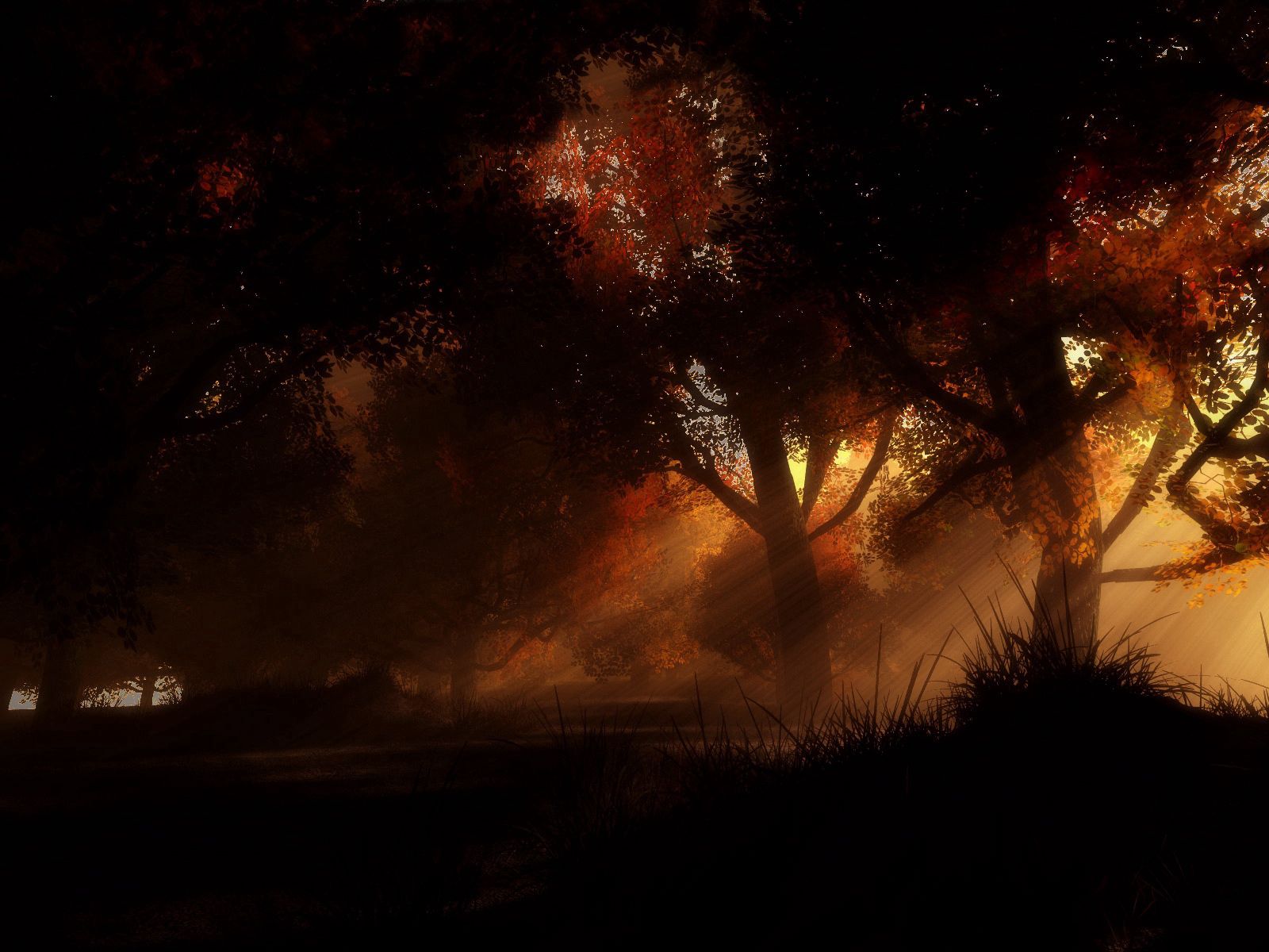 Скачать обои бесплатно Ночь, Темные, Деревья, Осень картинка на рабочий стол ПК