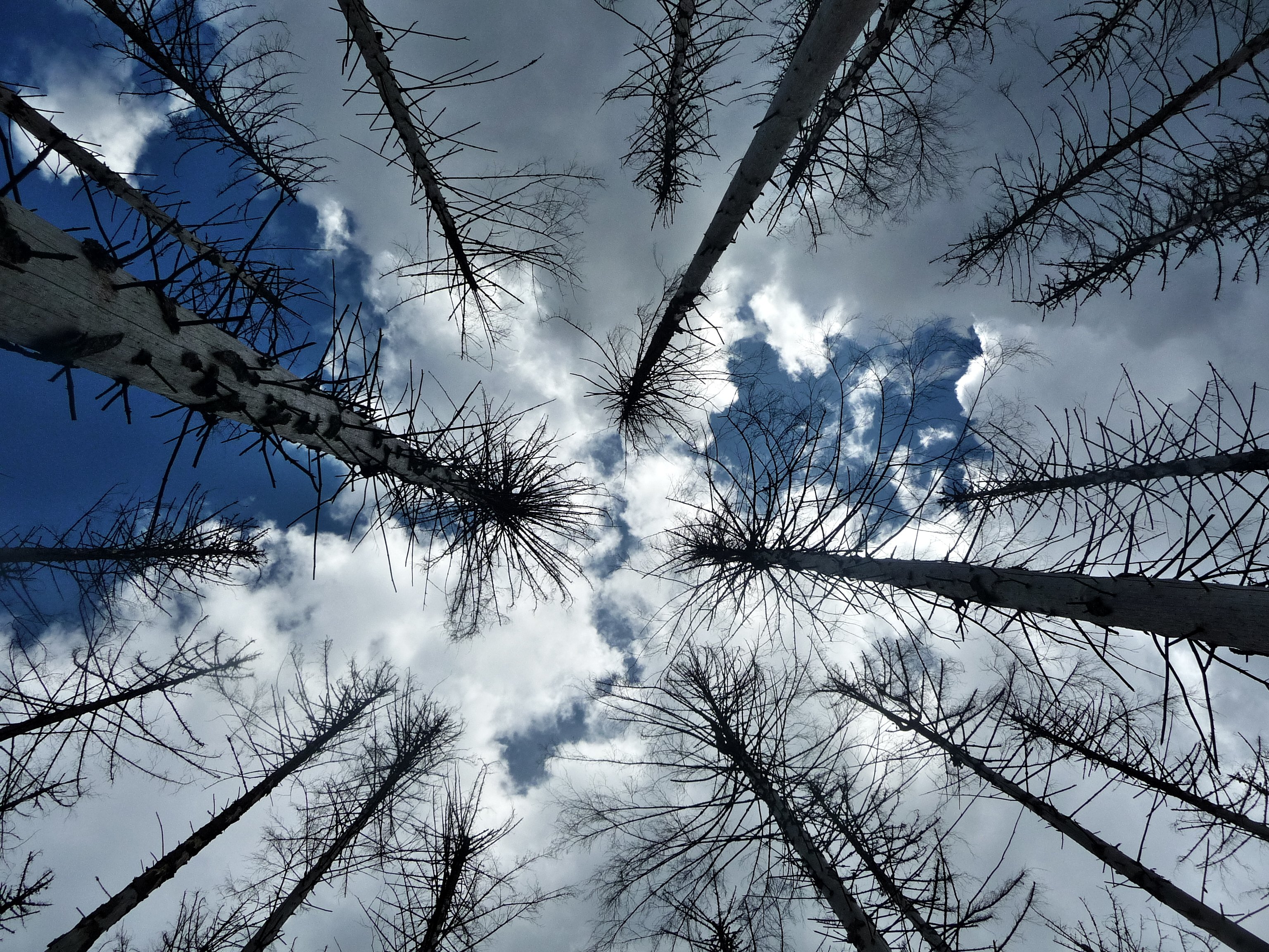 Handy-Wallpaper Himmel, Erde/natur kostenlos herunterladen.