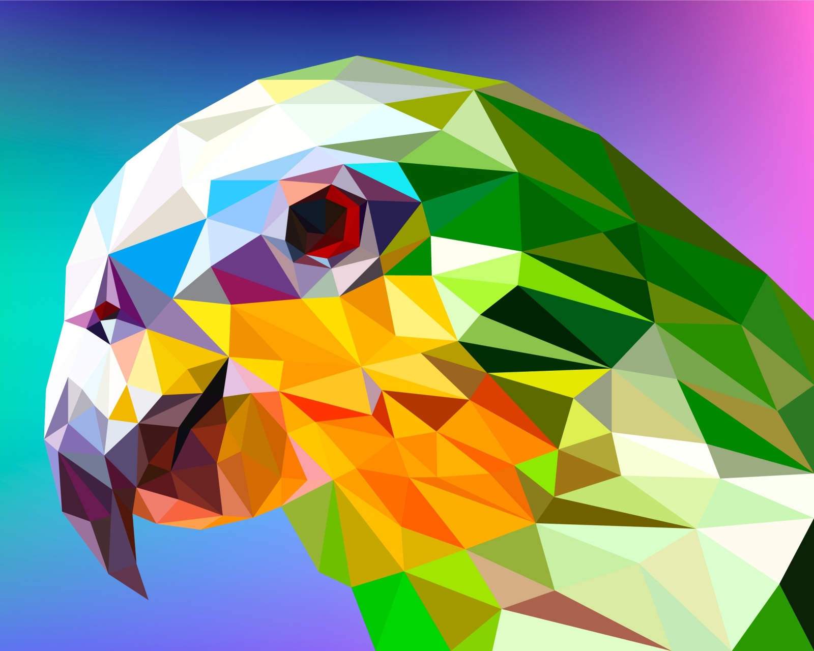 Download mobile wallpaper Abstract, Bird, Facets, Polygon, Low Poly, Parrot for free.