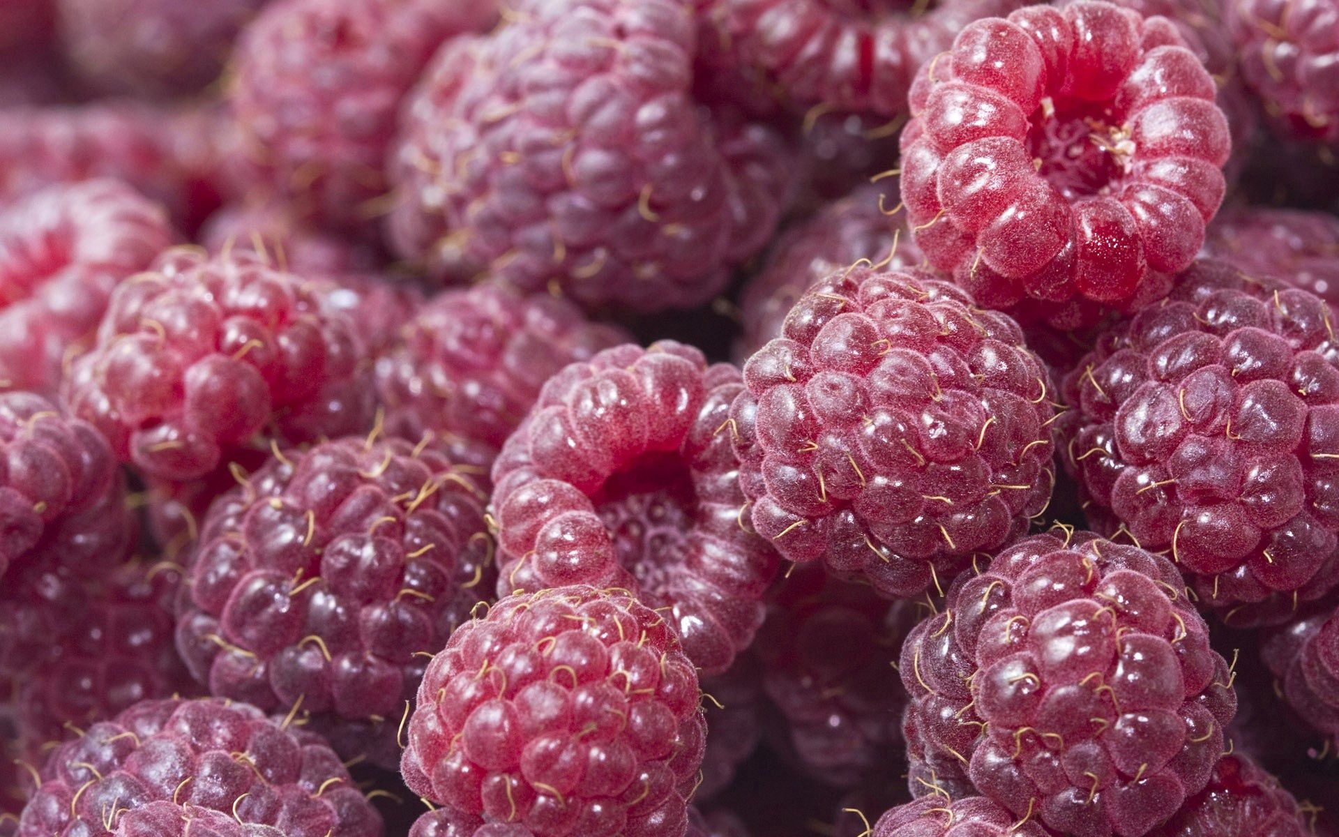 ripe, food, raspberry, sweet, berry Phone Background