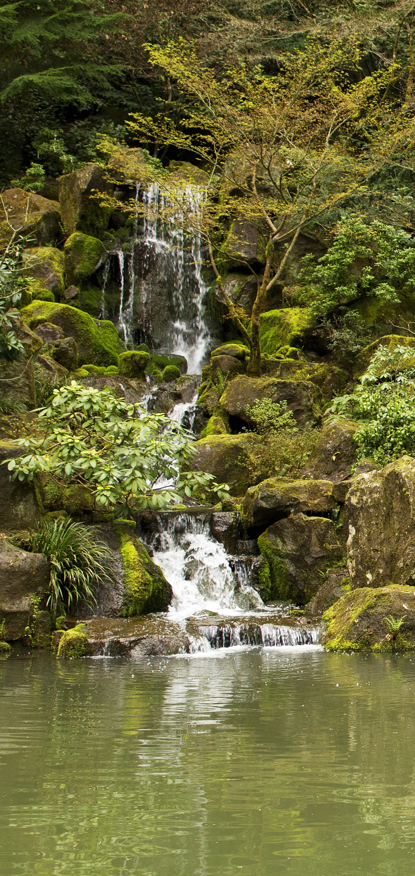 Download mobile wallpaper Nature, Waterfall, Garden, Pond, Man Made, Japanese Garden for free.