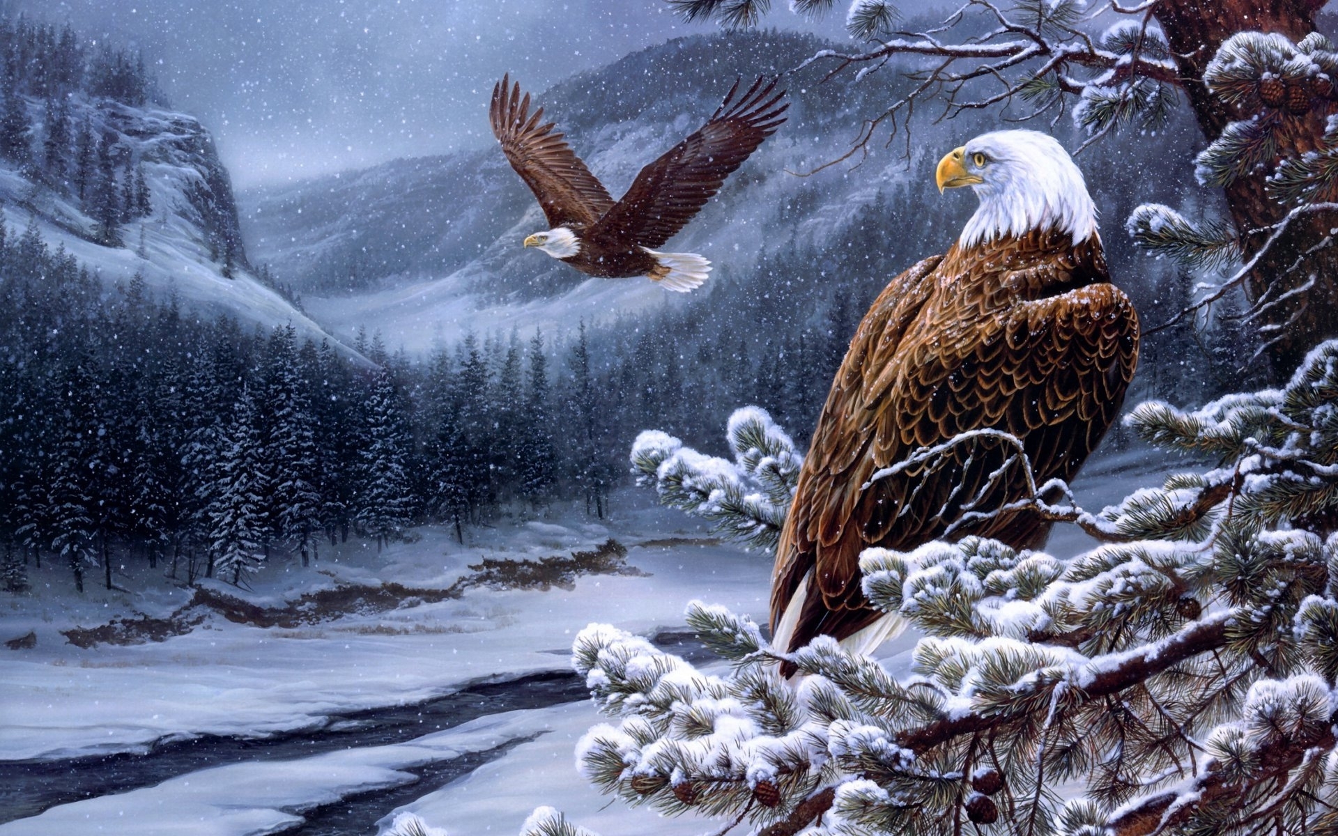 23695 télécharger le fond d'écran eagles, neige, oiseaux, dessins, bleu - économiseurs d'écran et images gratuitement