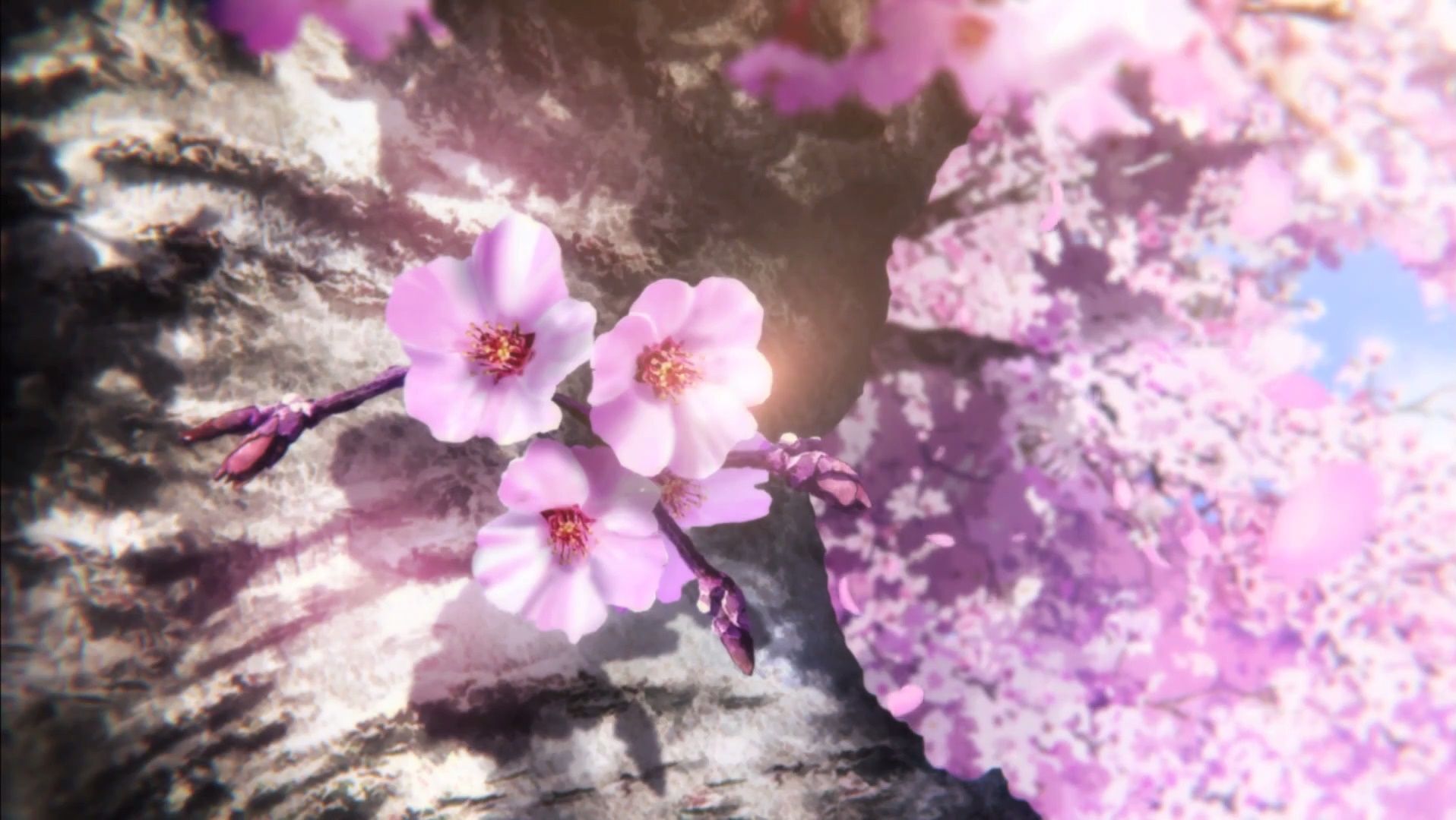 794996壁紙のダウンロードアニメ, 美しい骨 桜子の調べ-スクリーンセーバーと写真を無料で