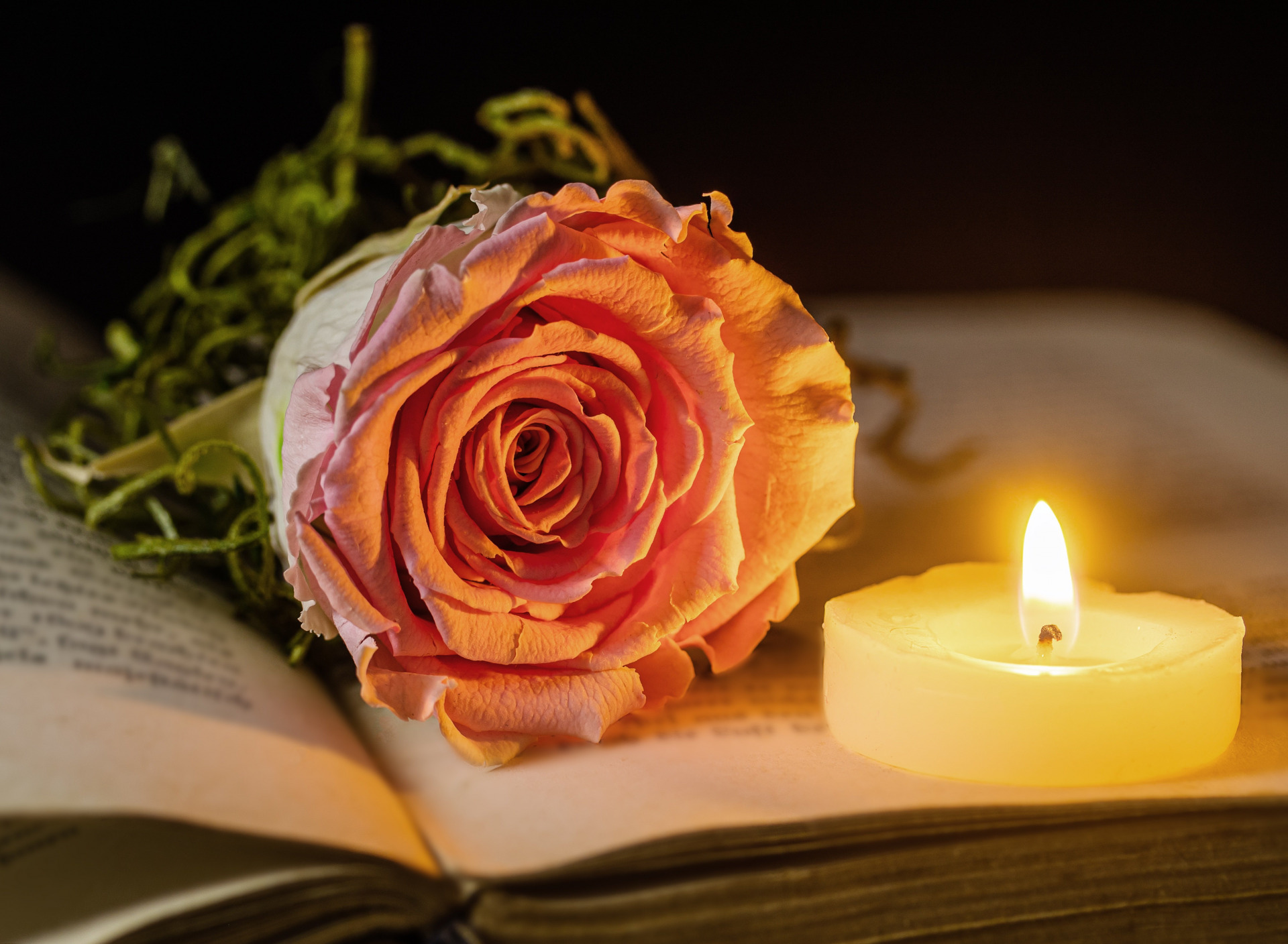 Free download wallpaper Still Life, Flame, Rose, Candle, Photography, Peach Flower on your PC desktop